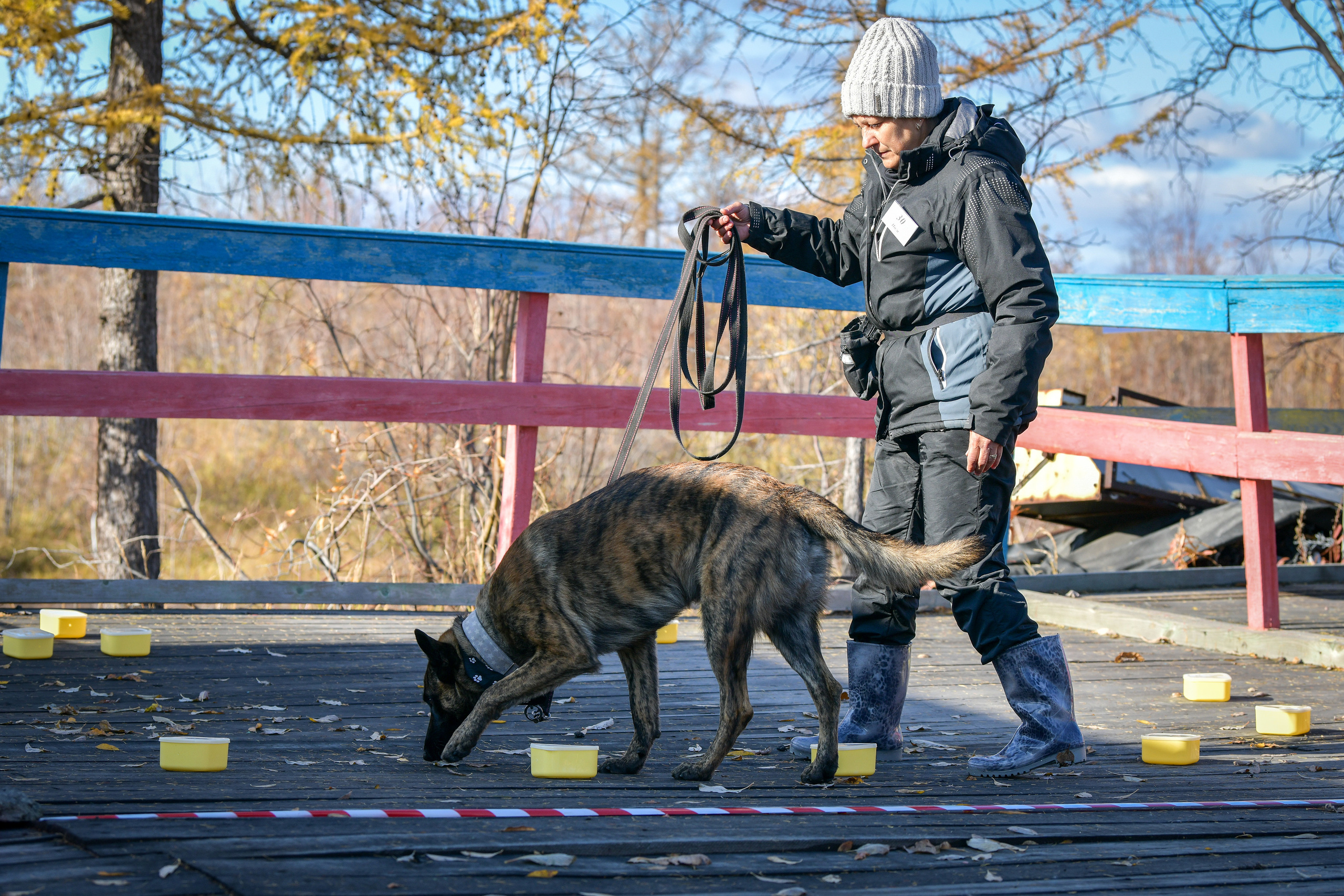 Ноузворк 17 сентября 2023. Свой взгляд через объектив