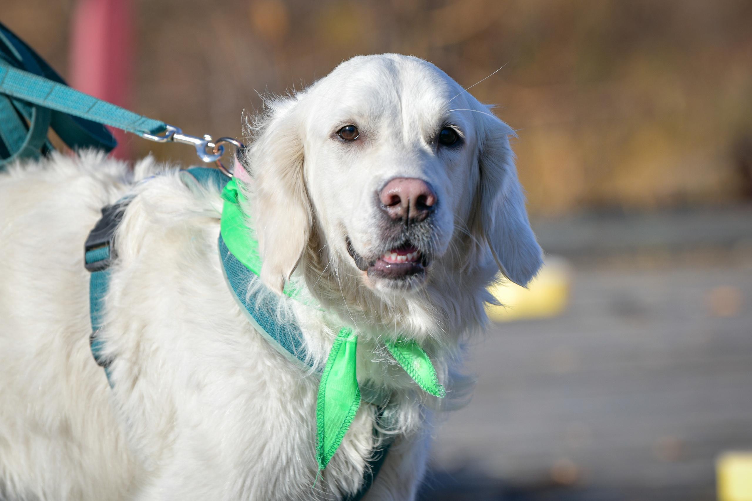 Ноузворк 17 сентября 2023. Свой взгляд через объектив