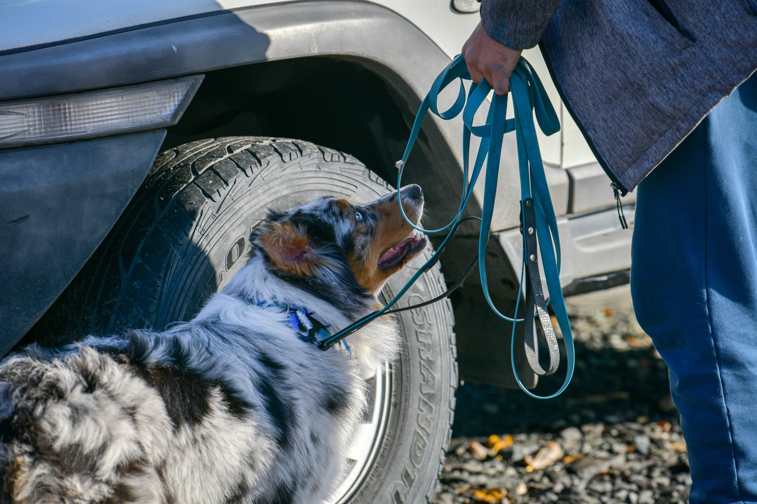 Ноузворк 17 сентября 2023. Свой взгляд через объектив