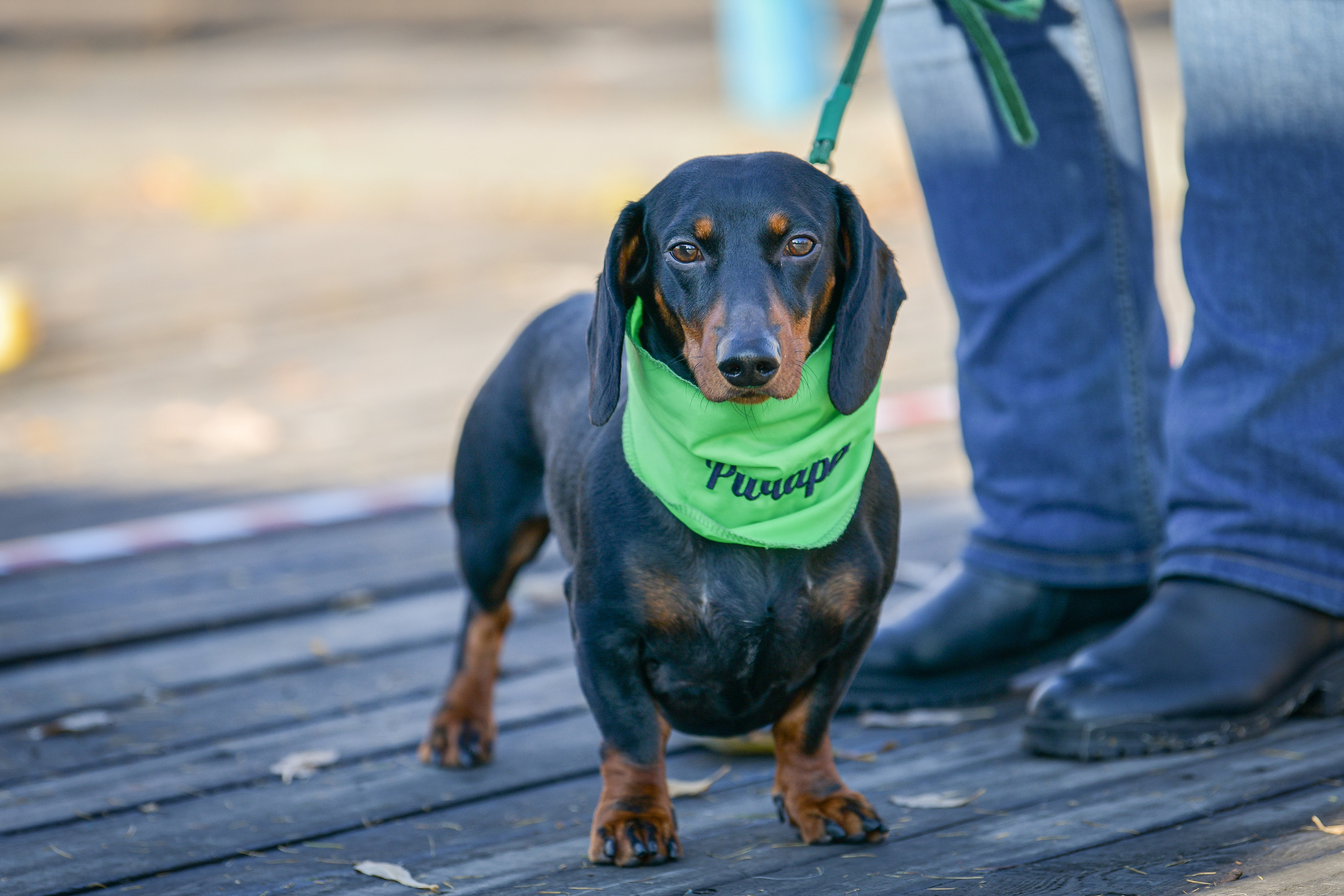 Ноузворк 17 сентября 2023. Свой взгляд через объектив