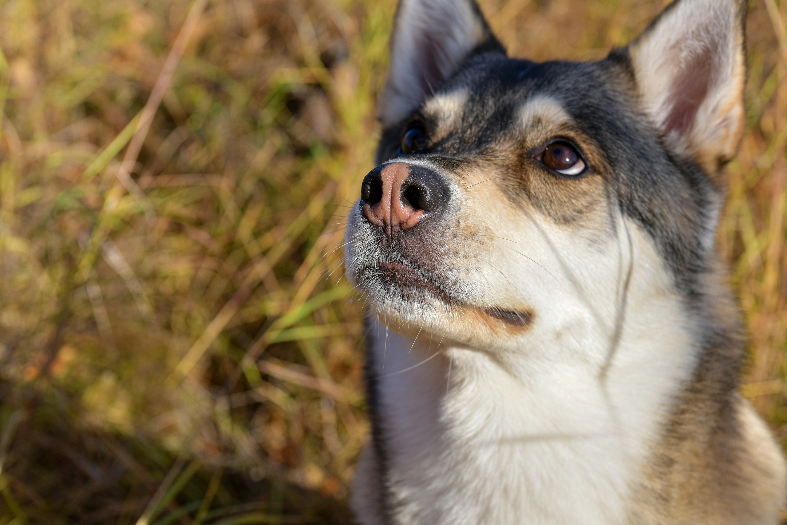 Ноузворк 17 сентября 2023. Свой взгляд через объектив