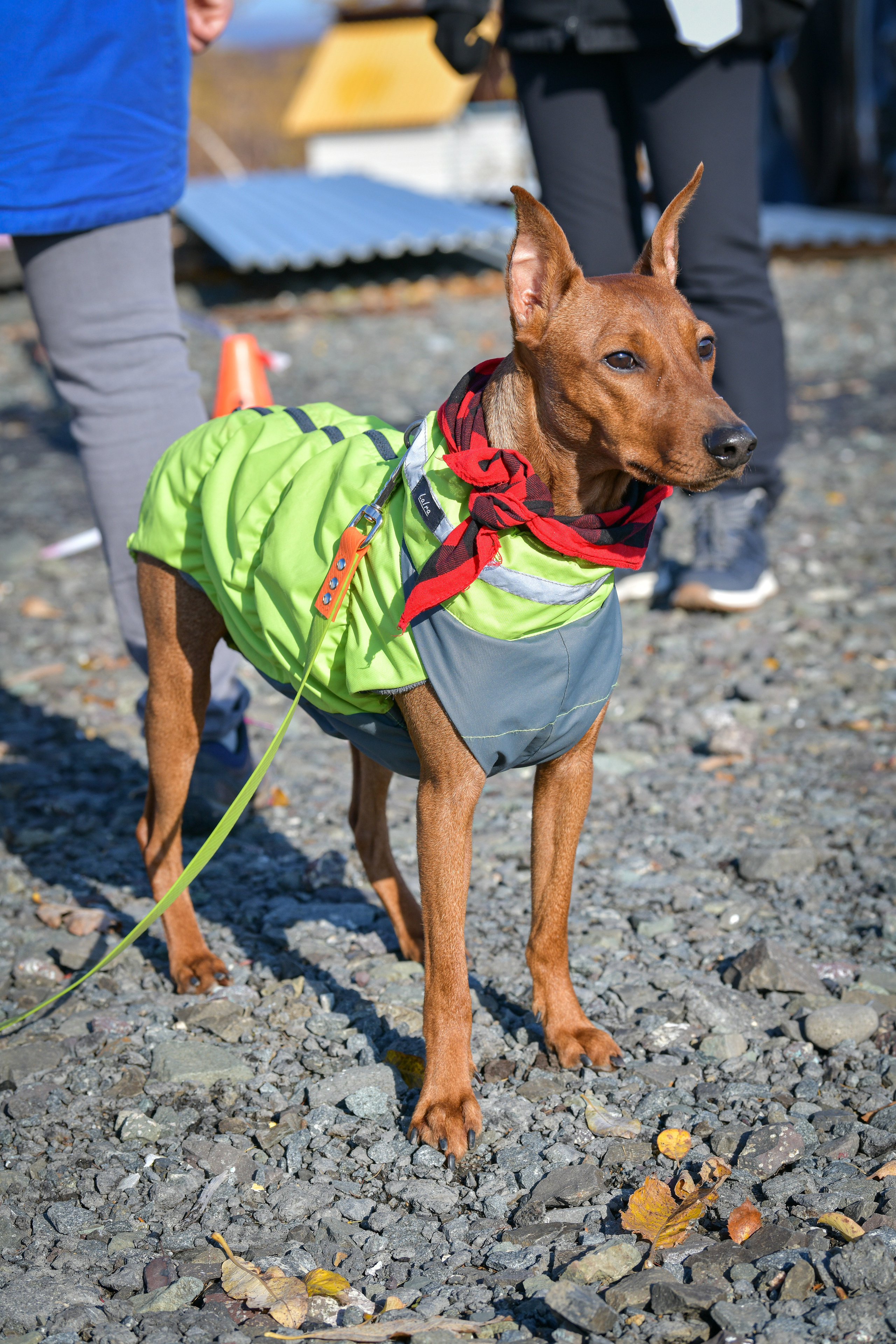 Ноузворк 17 сентября 2023. Свой взгляд через объектив