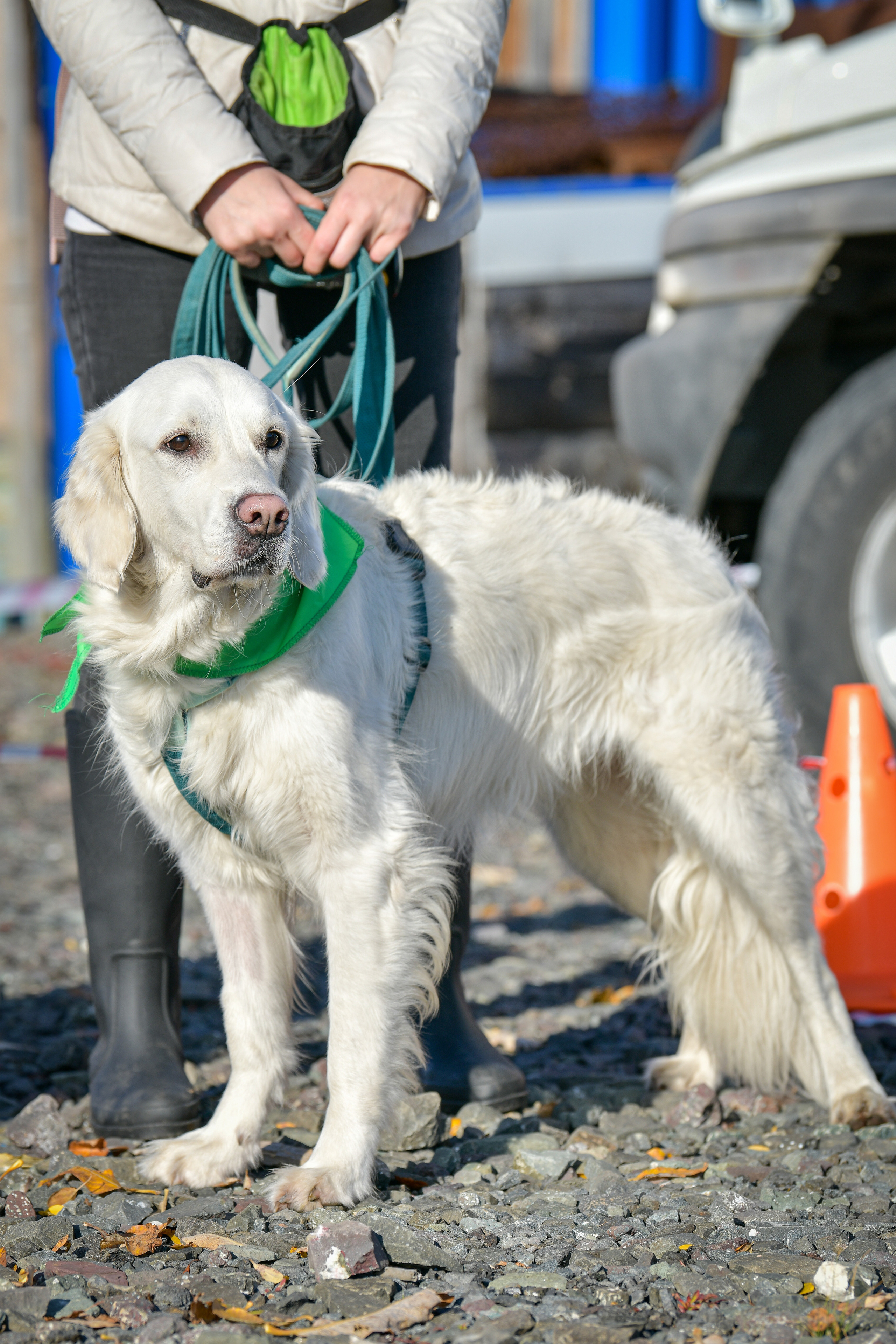 Ноузворк 17 сентября 2023. Свой взгляд через объектив