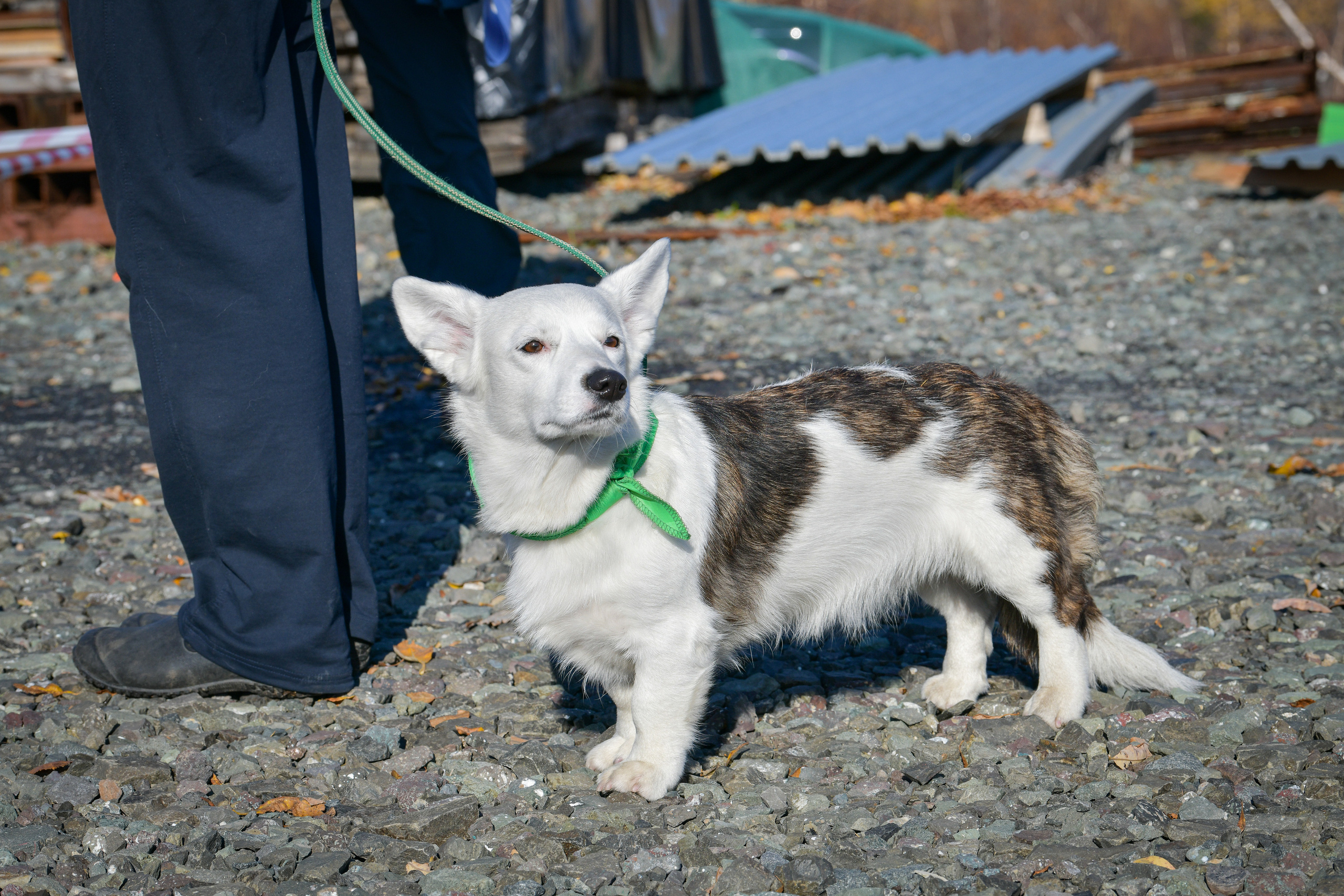 Ноузворк 17 сентября 2023. Свой взгляд через объектив