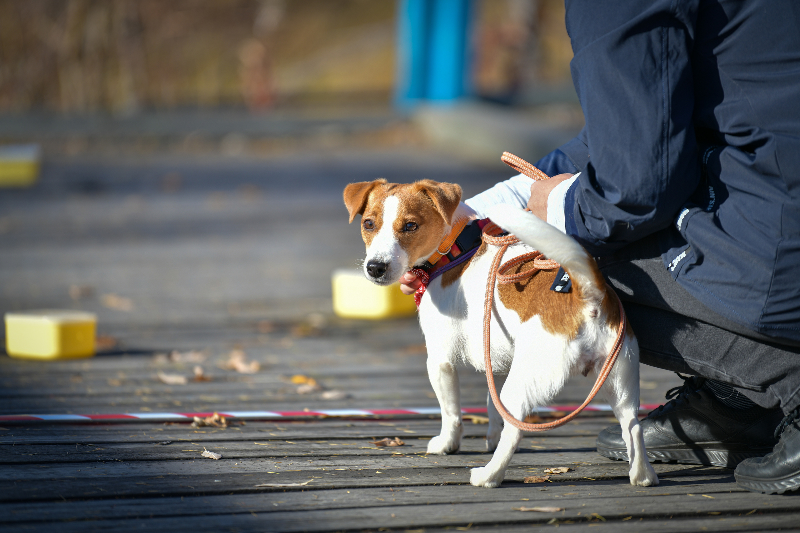 Ноузворк 17 сентября 2023. Свой взгляд через объектив