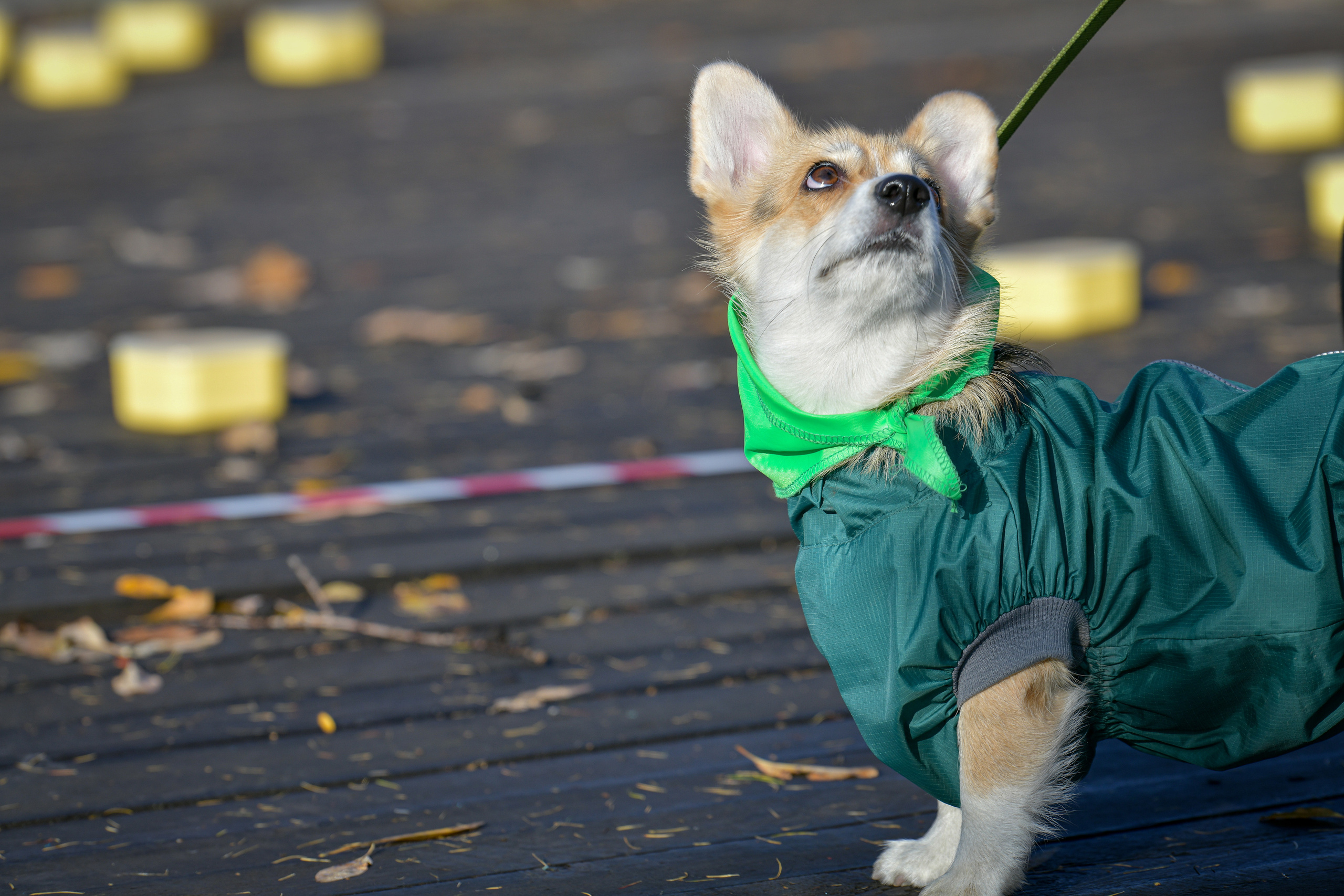 Ноузворк 17 сентября 2023. Свой взгляд через объектив
