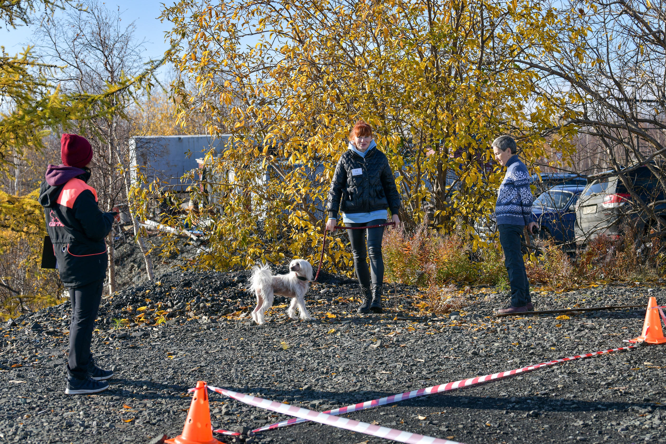 Ноузворк 17 сентября 2023. Свой взгляд через объектив