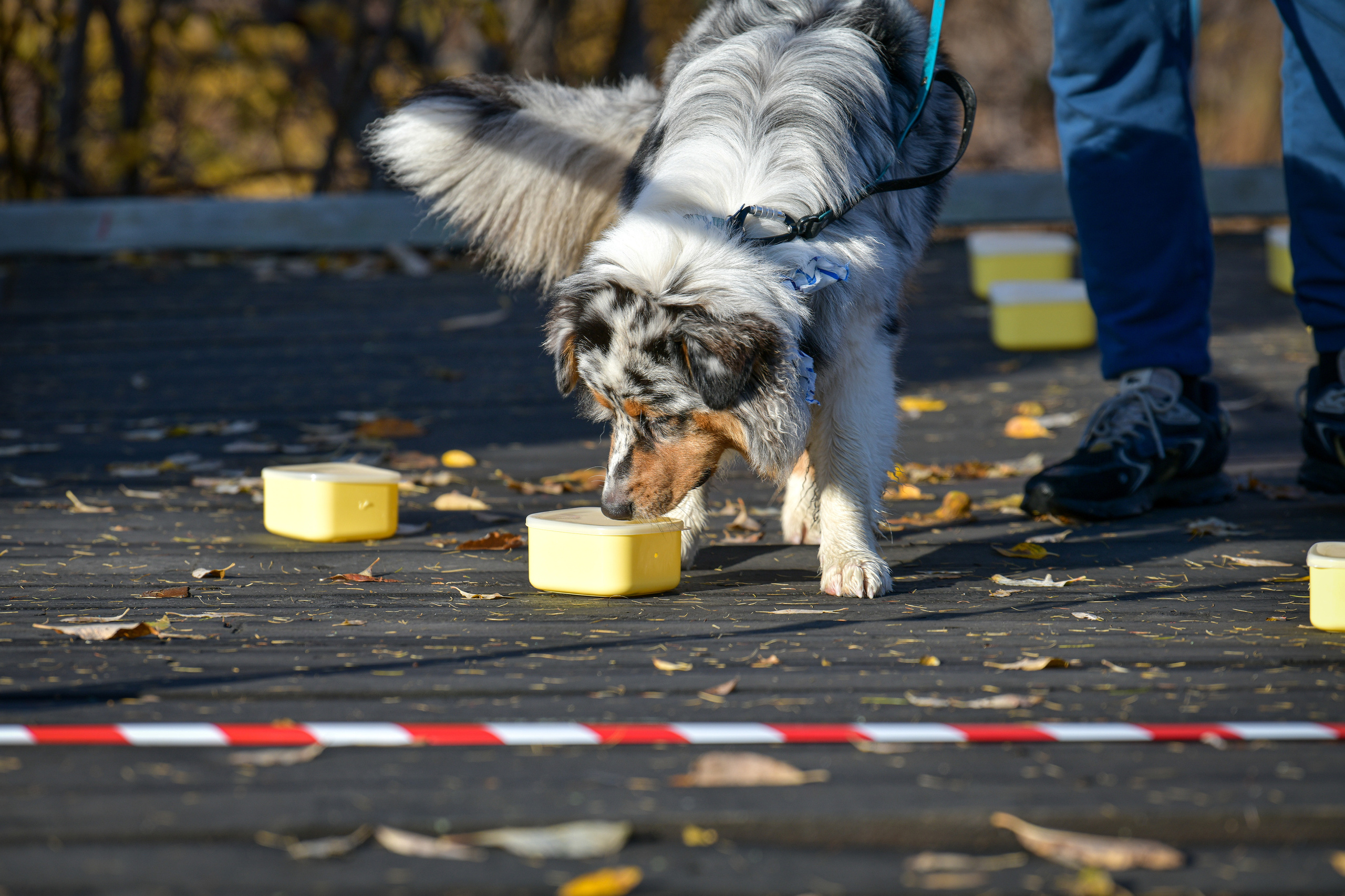 Ноузворк 17 сентября 2023. Свой взгляд через объектив