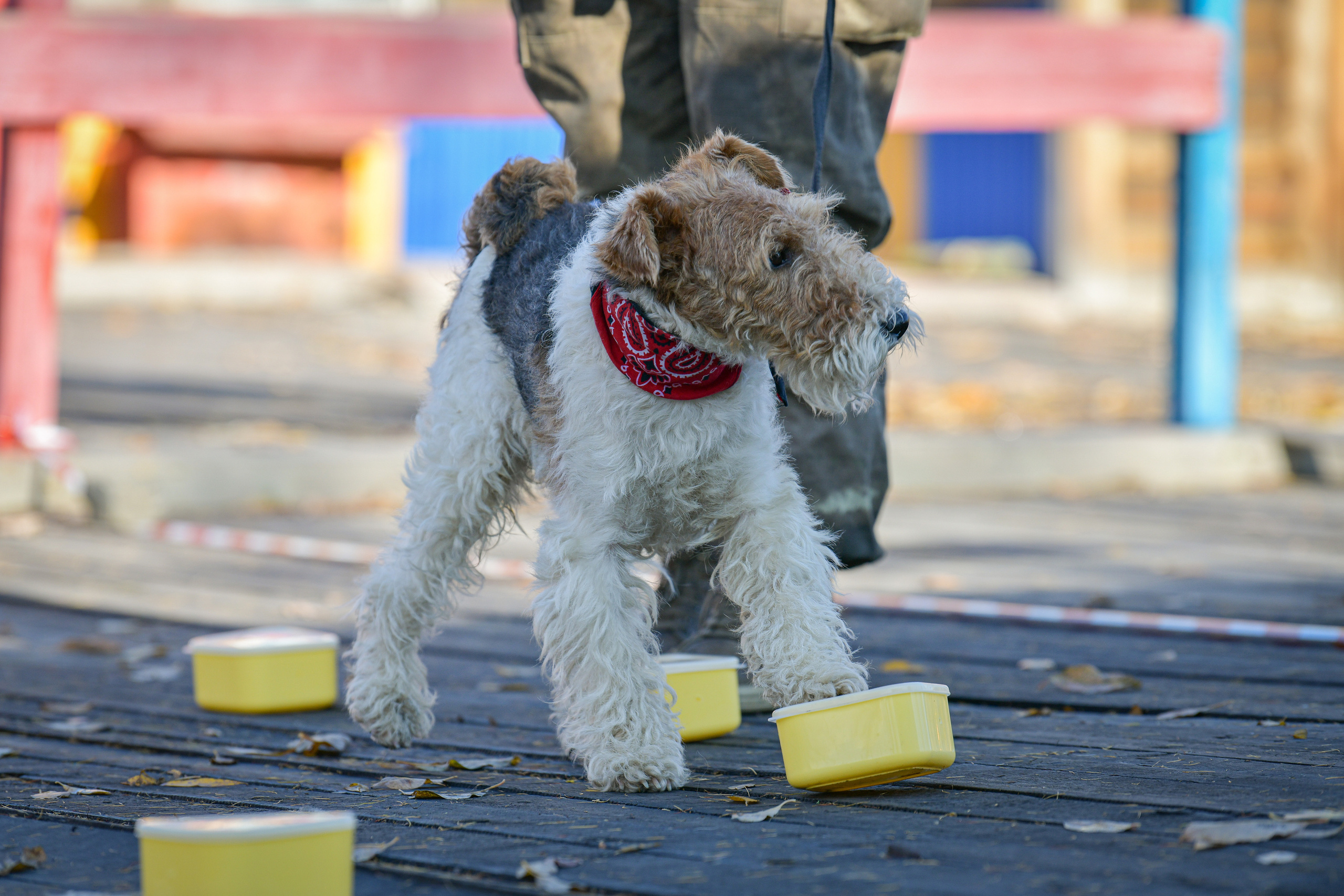 Ноузворк 17 сентября 2023. Свой взгляд через объектив