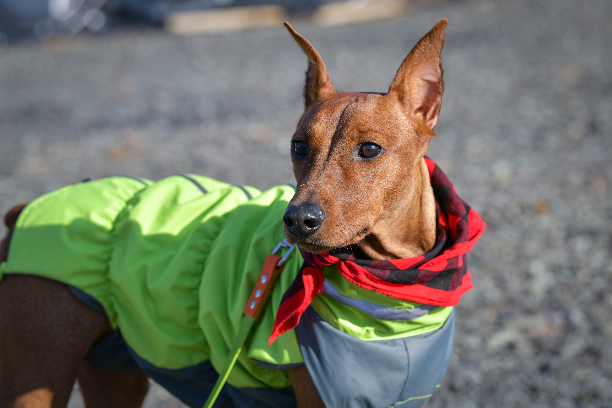 Ноузворк 17 сентября 2023. Свой взгляд через объектив