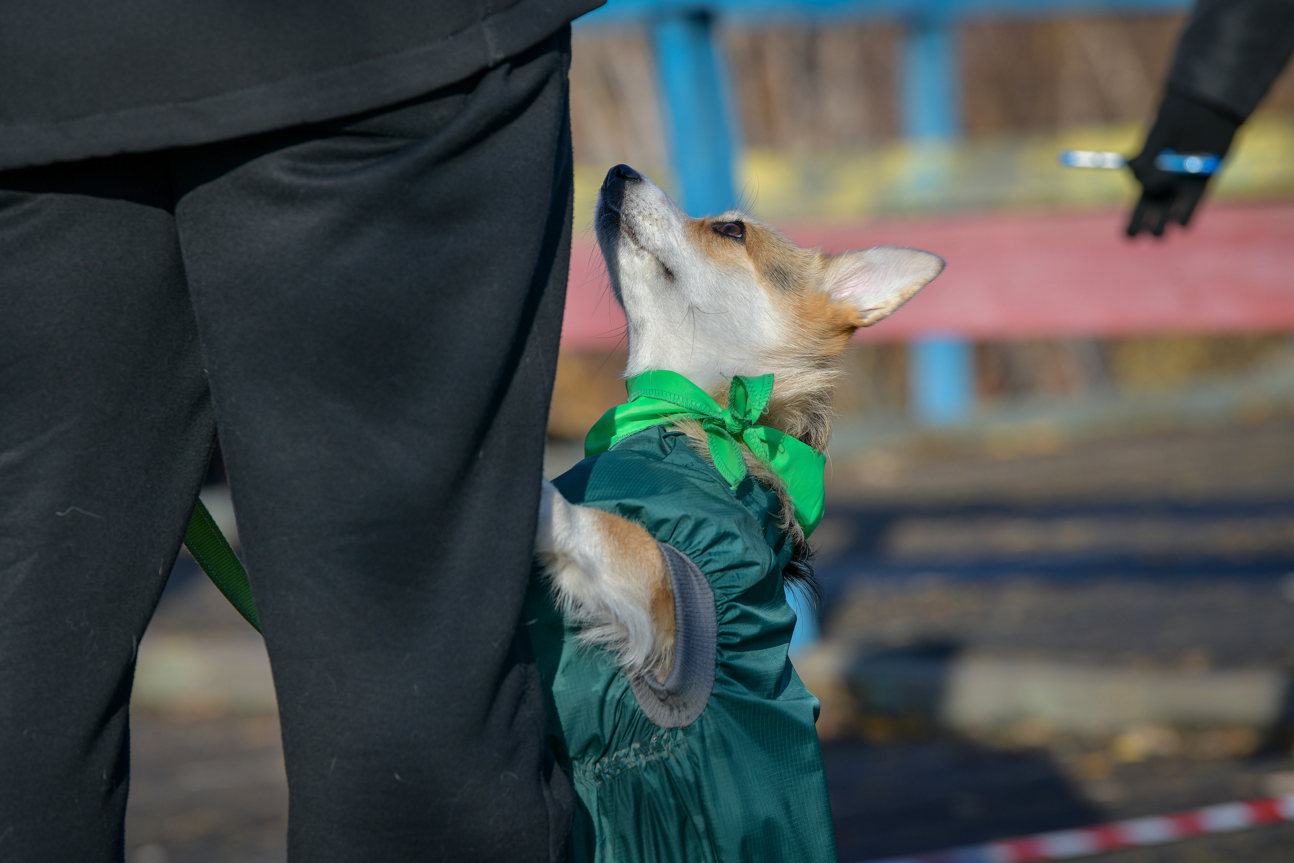 Ноузворк 17 сентября 2023. Свой взгляд через объектив