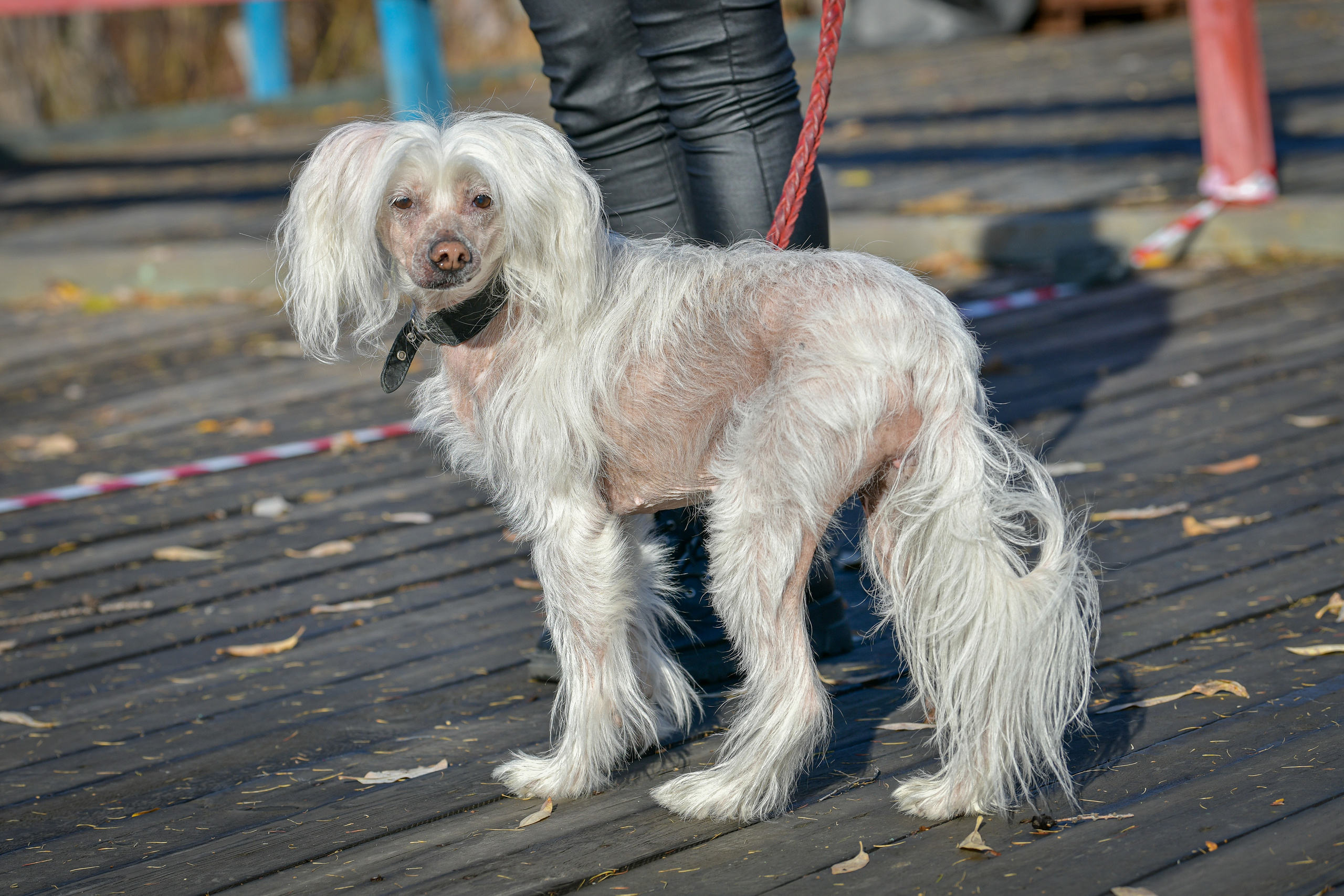 Ноузворк 17 сентября 2023. Свой взгляд через объектив