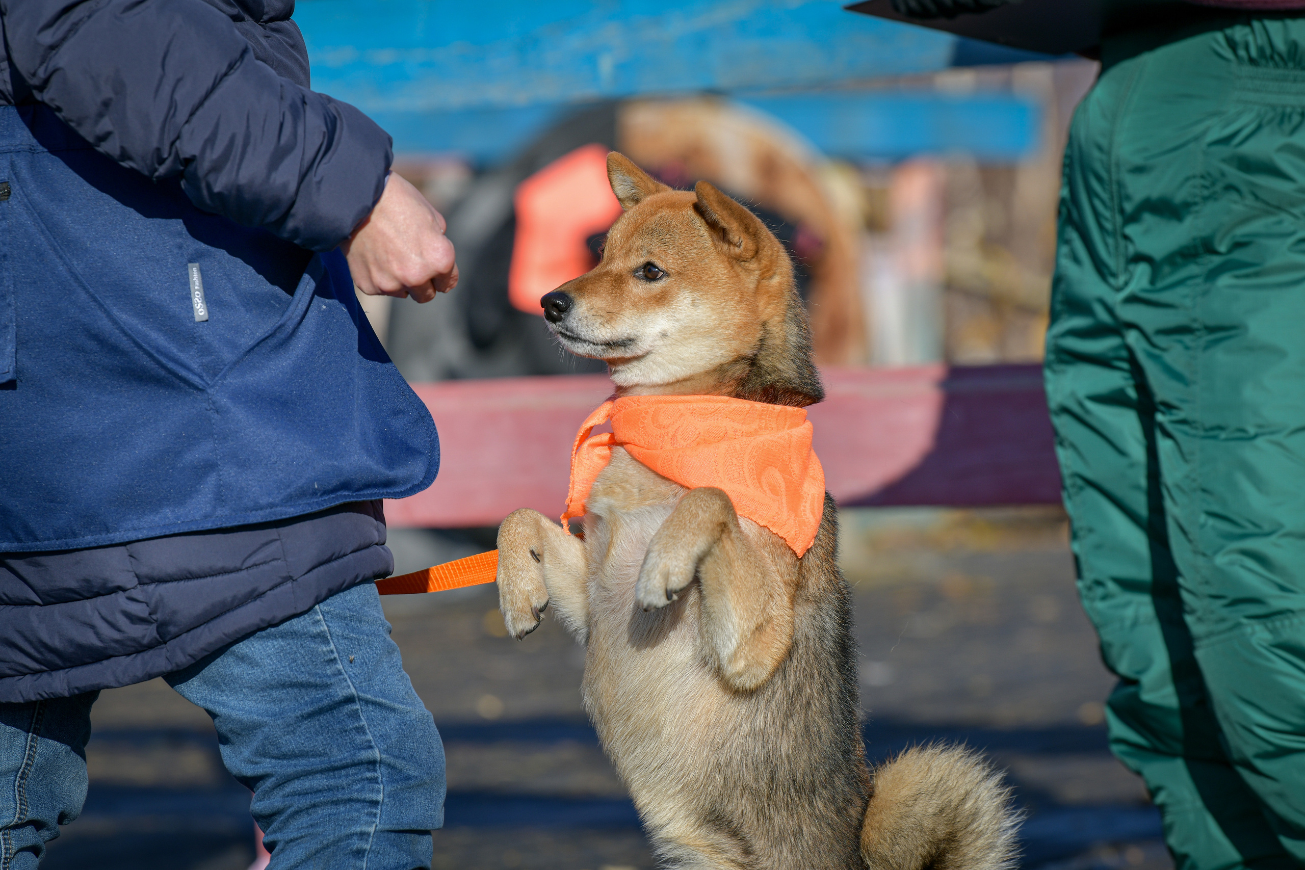 Ноузворк 17 сентября 2023. Свой взгляд через объектив