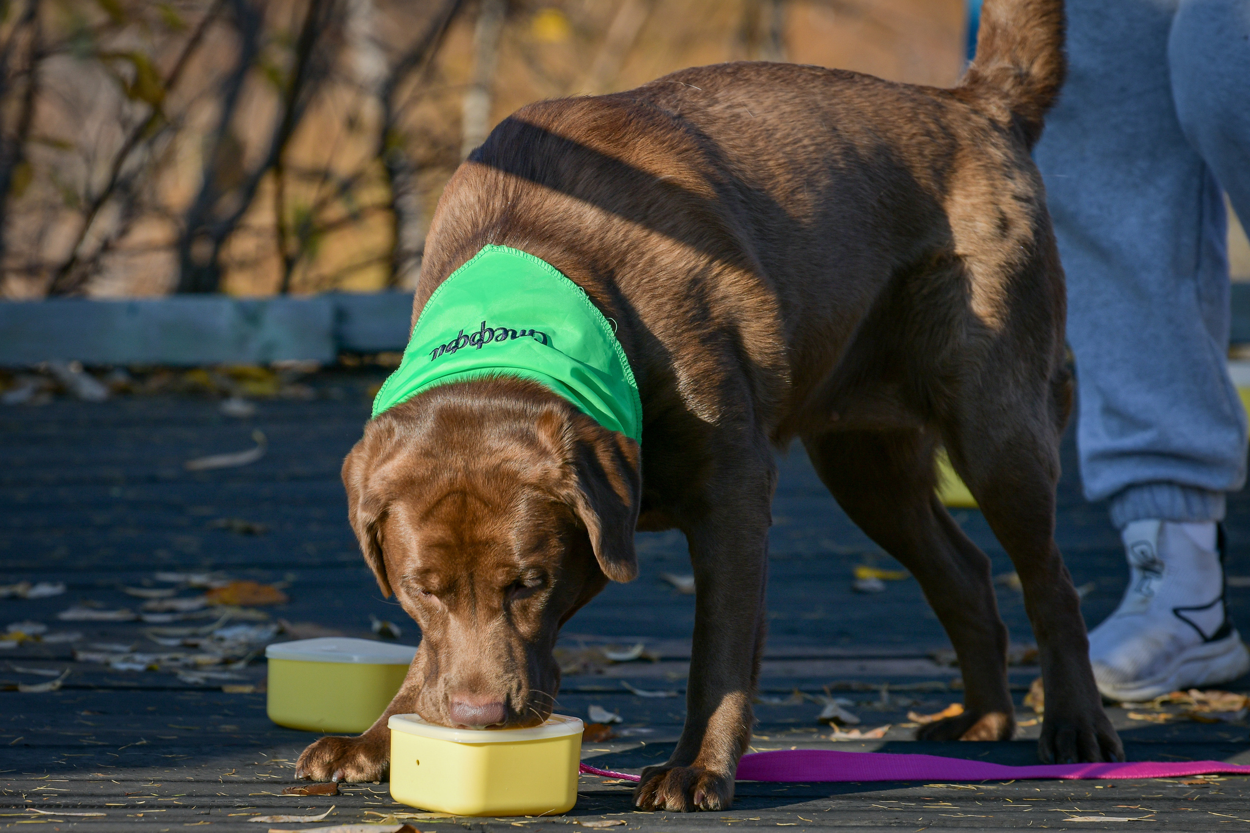 Ноузворк 17 сентября 2023. Свой взгляд через объектив