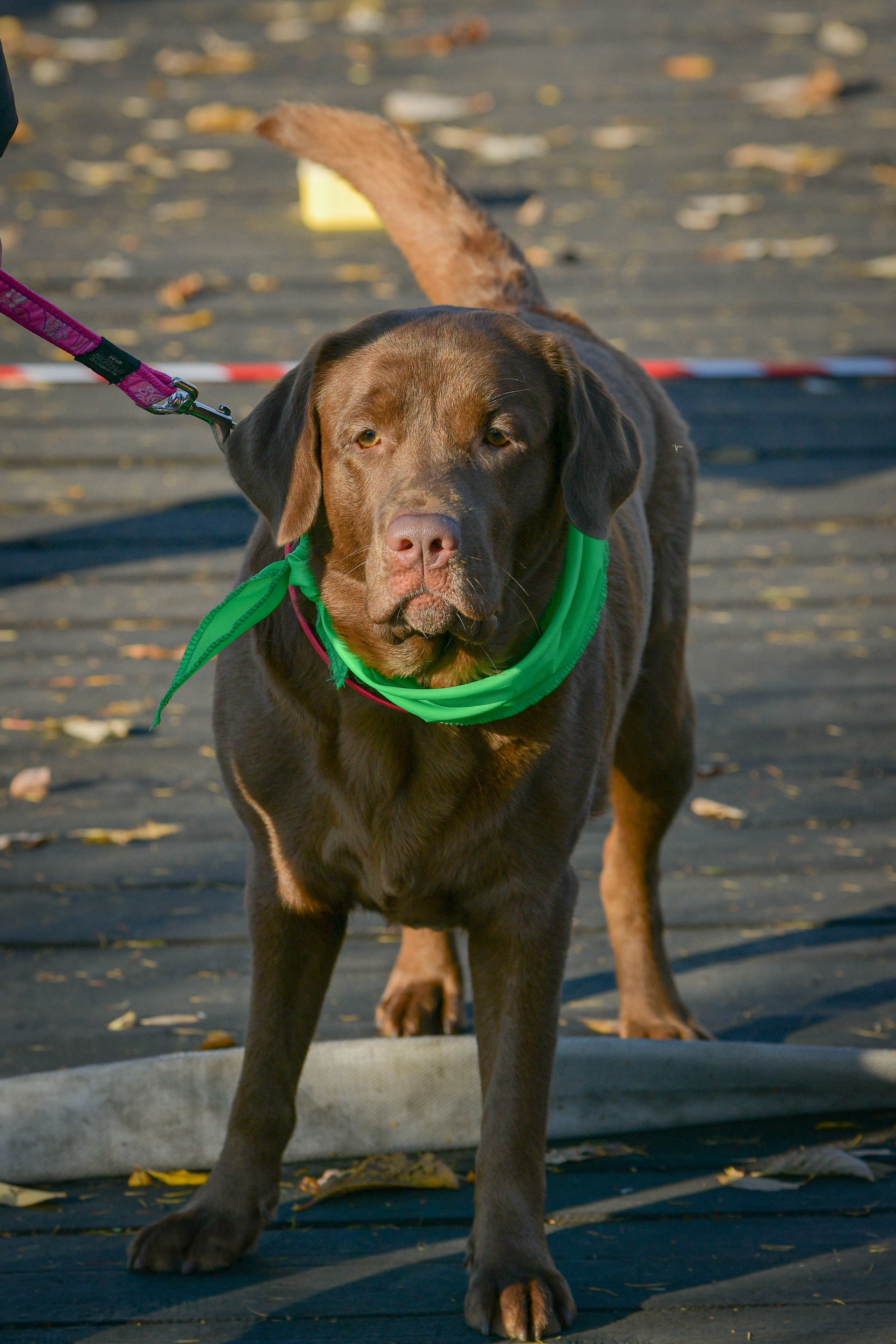 Ноузворк 17 сентября 2023. Свой взгляд через объектив