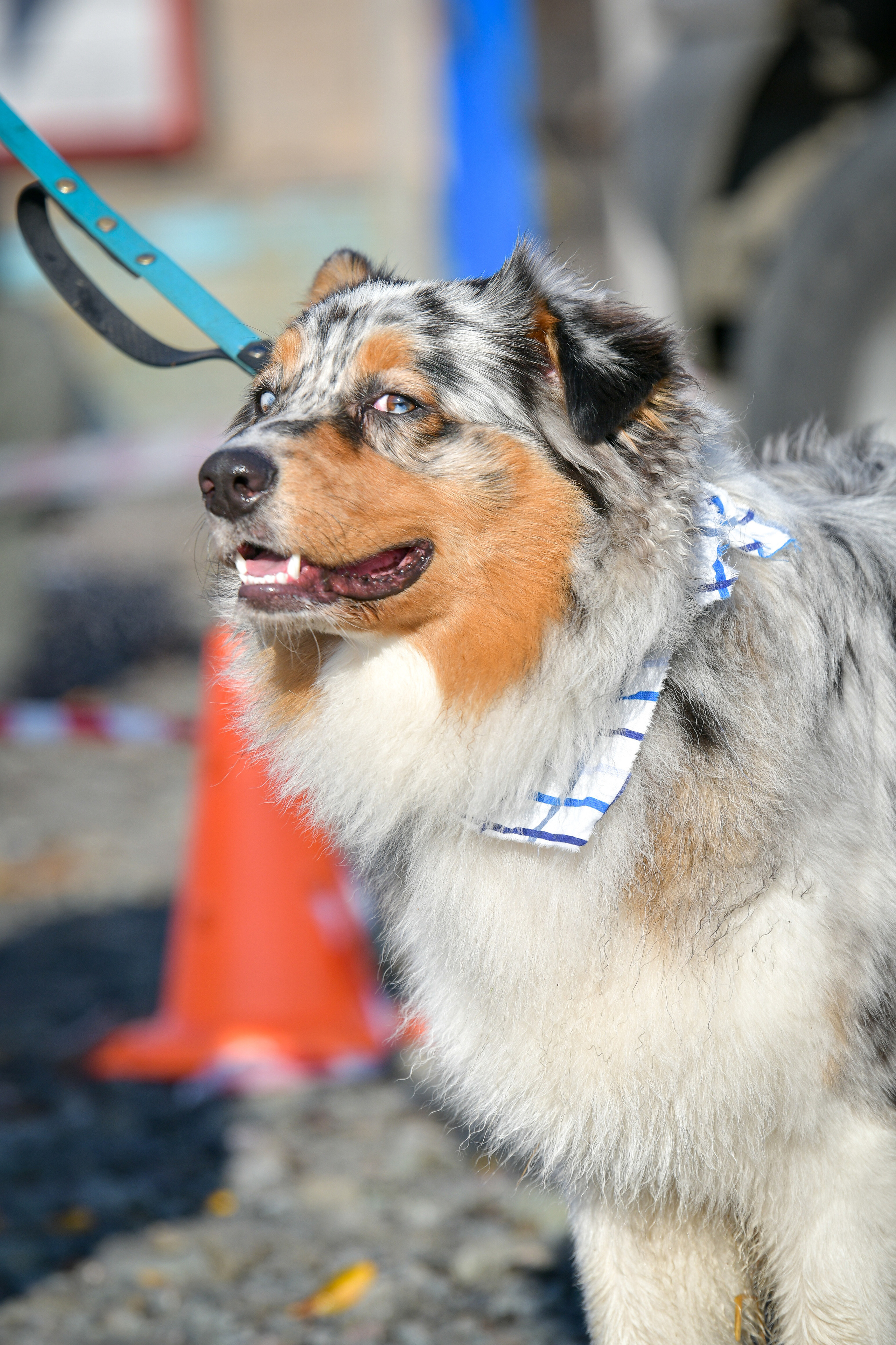 Ноузворк 17 сентября 2023. Свой взгляд через объектив