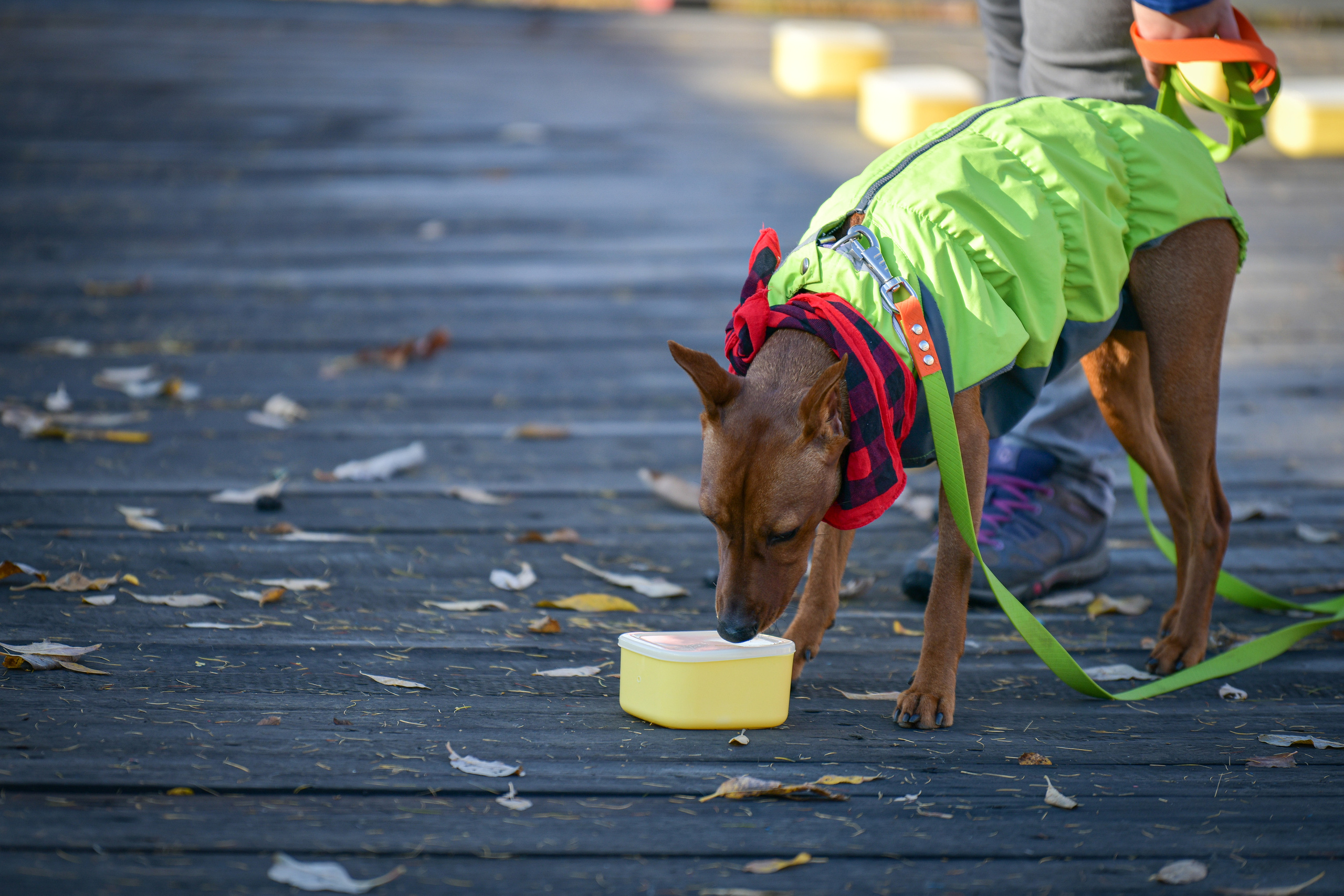 Ноузворк 17 сентября 2023. Свой взгляд через объектив