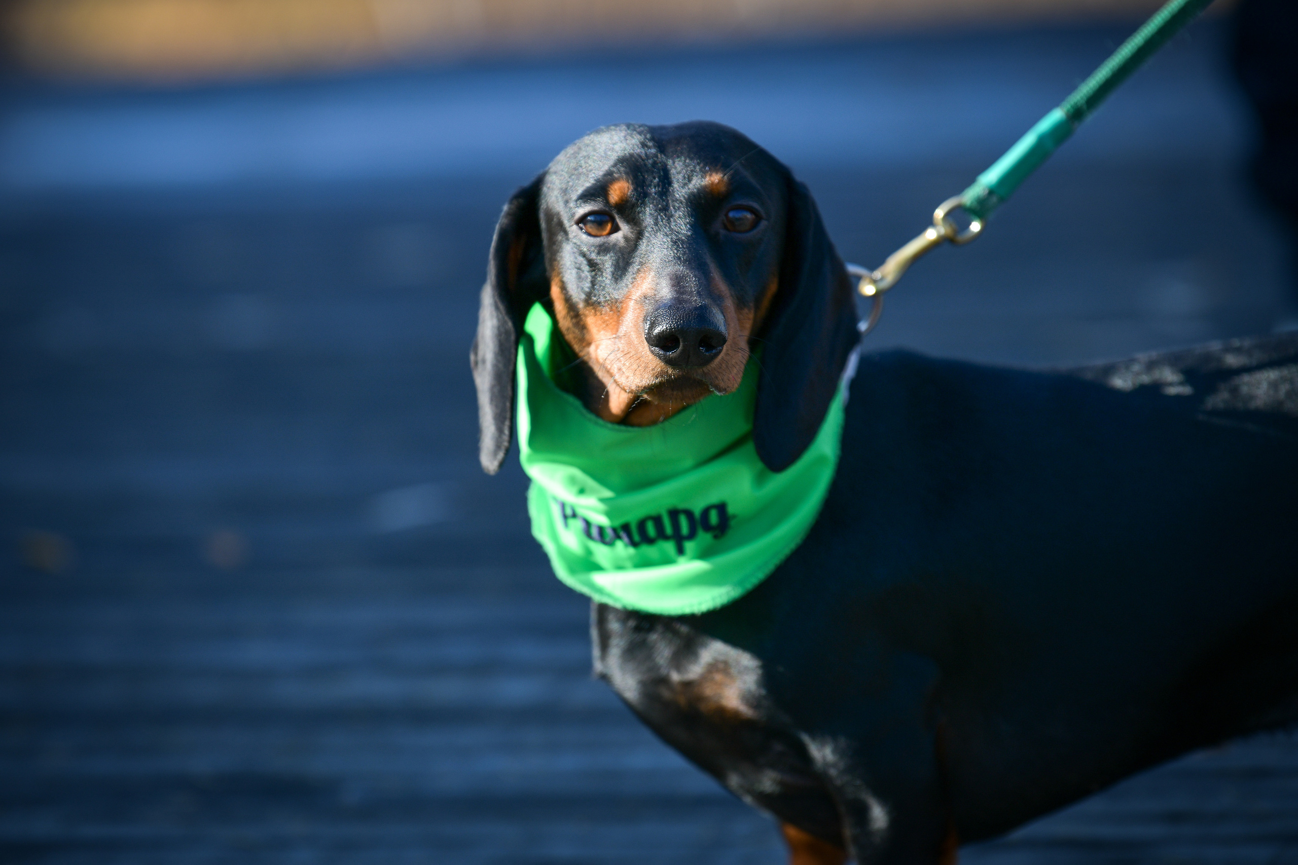 Ноузворк 17 сентября 2023. Свой взгляд через объектив