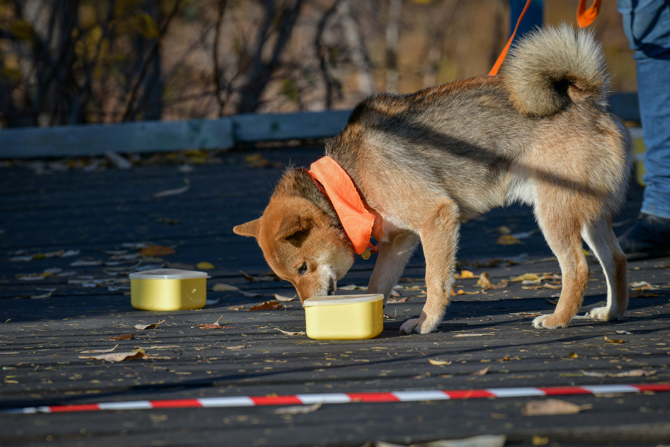 Ноузворк 17 сентября 2023. Свой взгляд через объектив