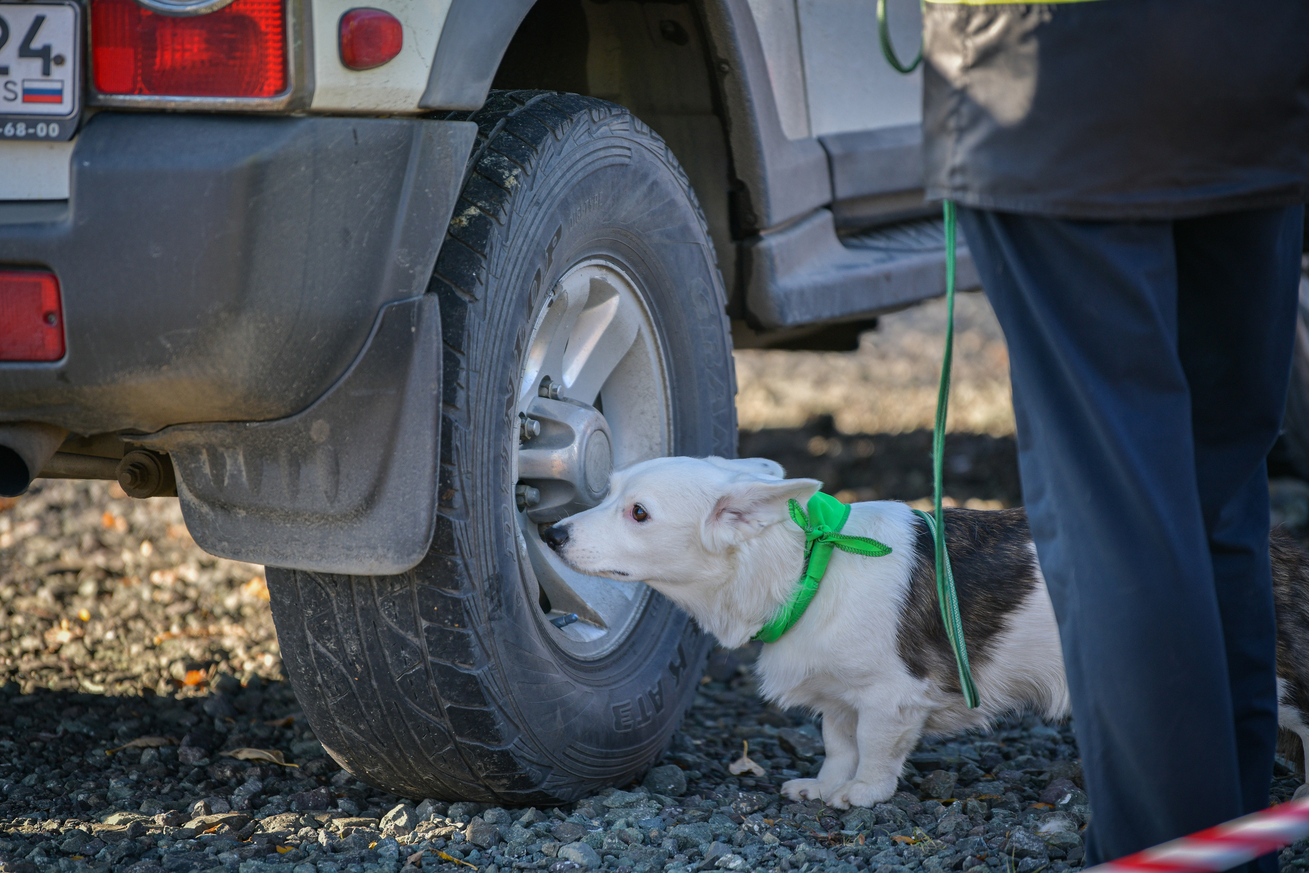 Ноузворк 17 сентября 2023. Свой взгляд через объектив