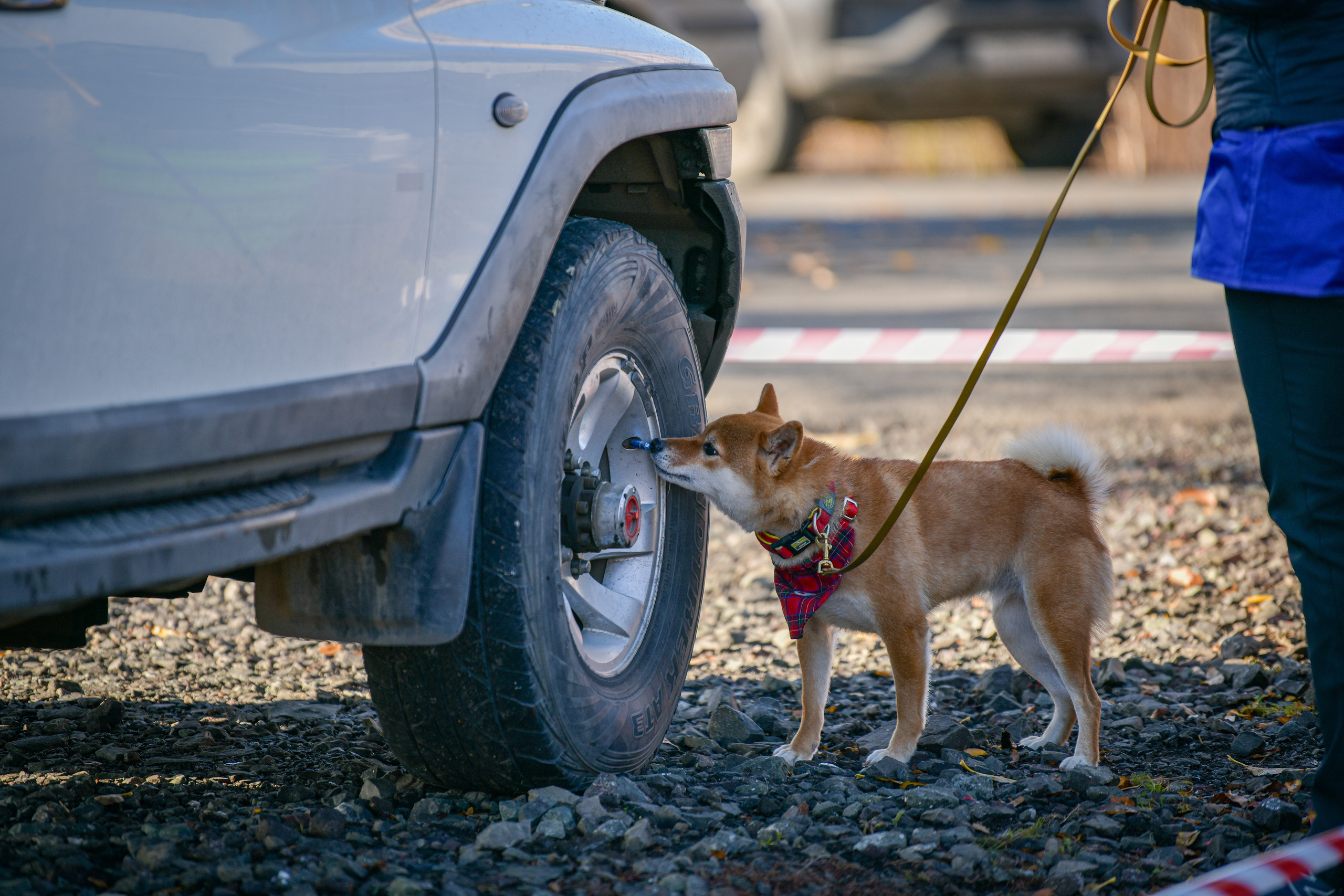 Ноузворк 17 сентября 2023. Свой взгляд через объектив