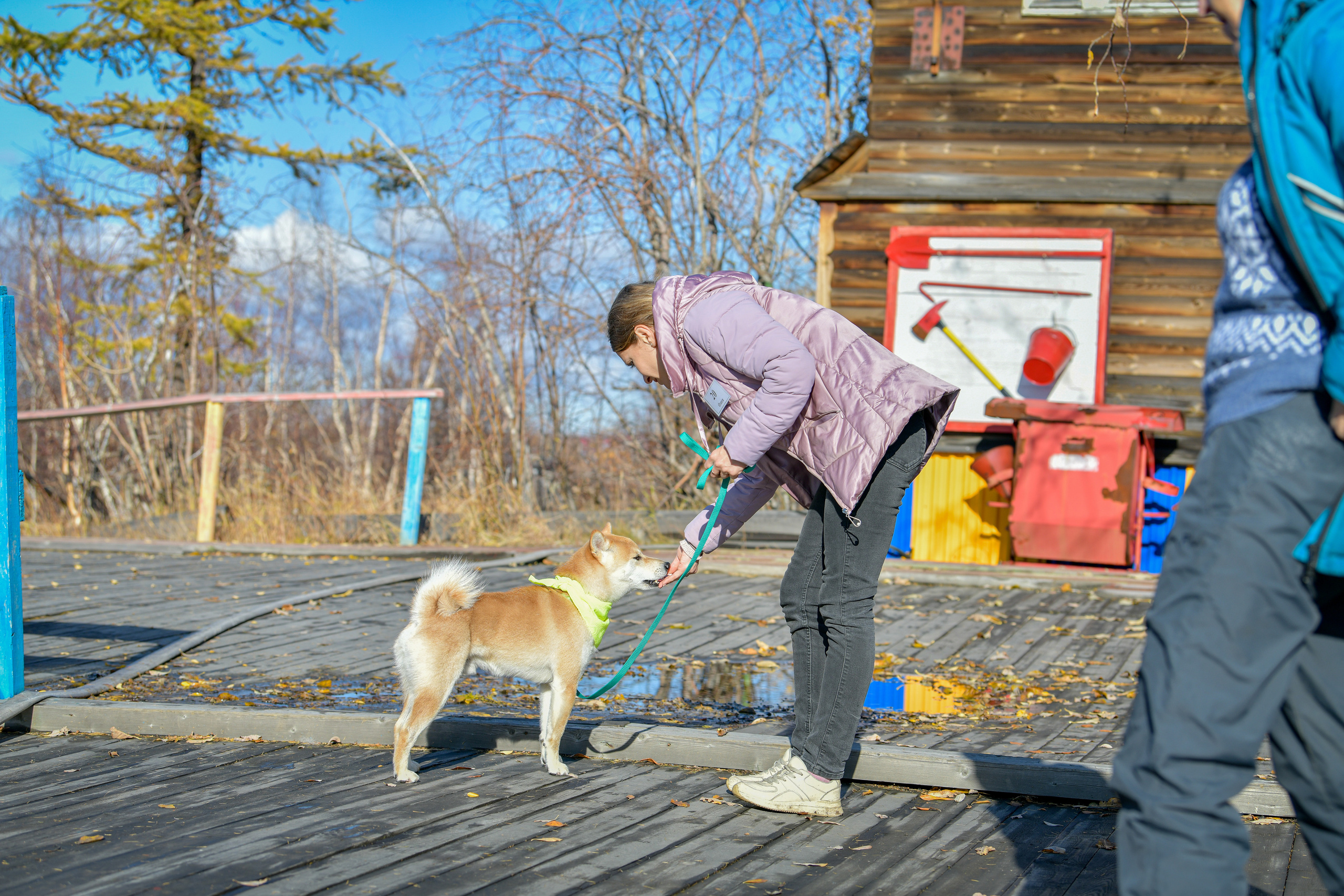 Ноузворк 17 сентября 2023. Свой взгляд через объектив