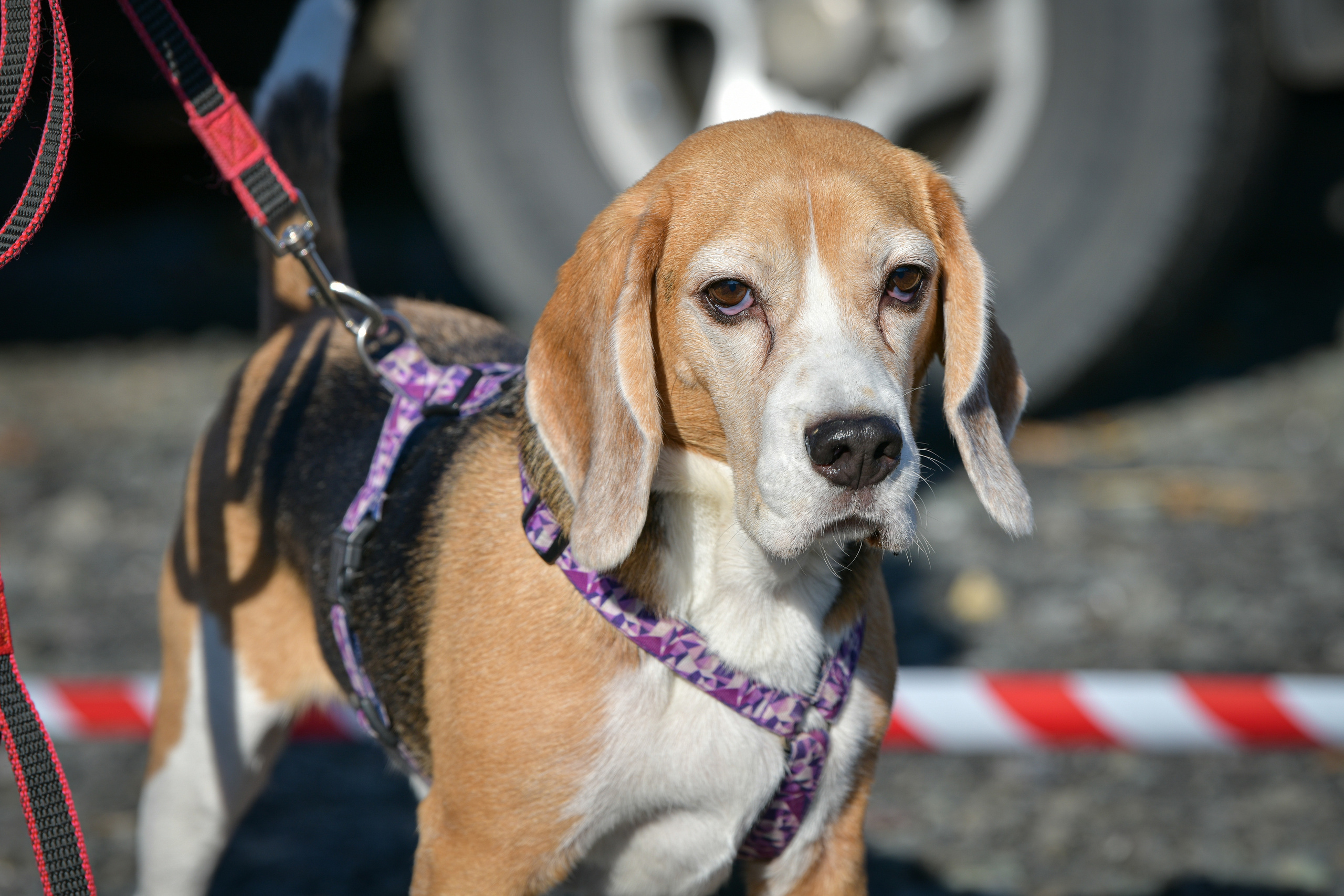 Ноузворк 17 сентября 2023. Свой взгляд через объектив