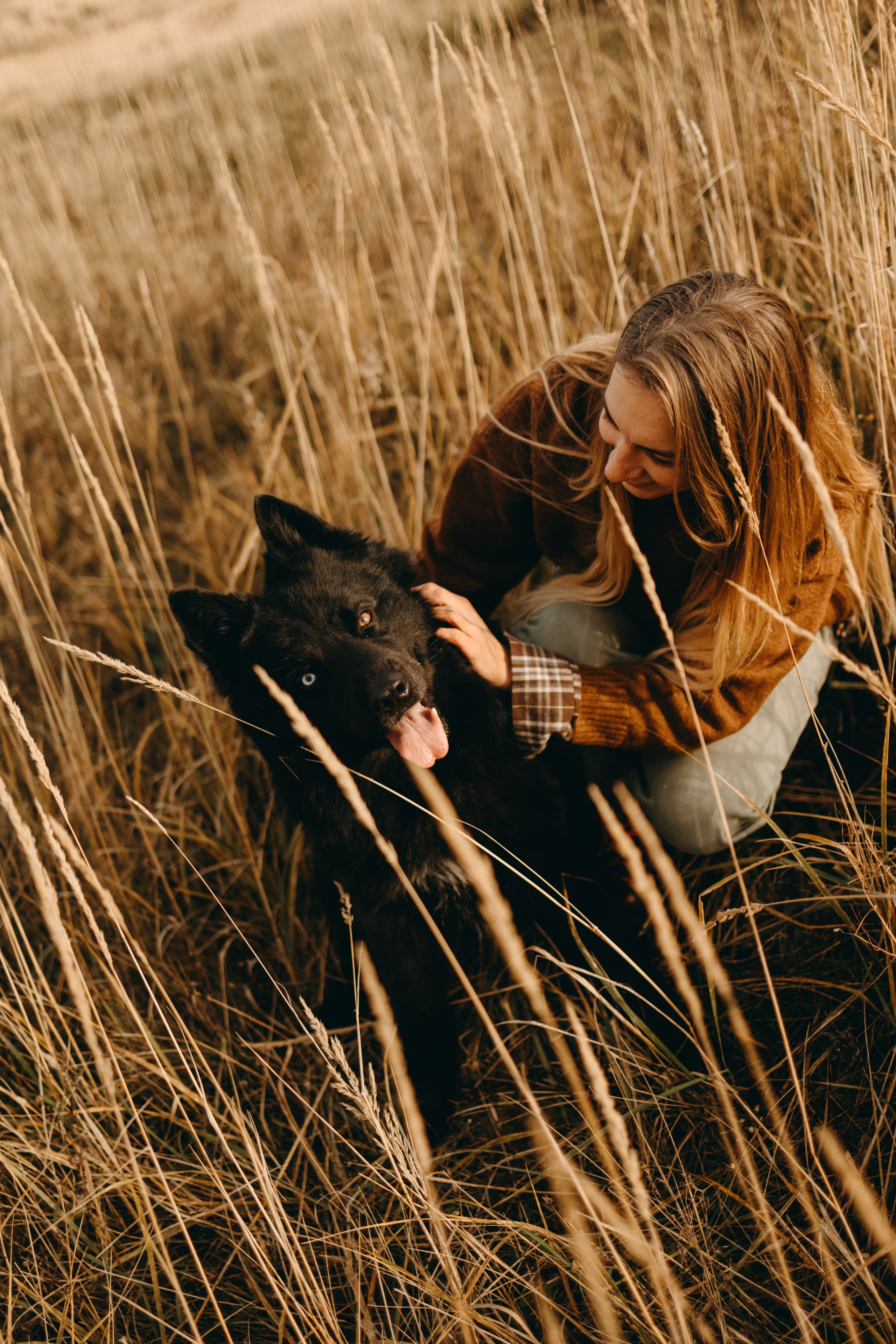 Лора и Джанго. Фотограф — Анималист | Санкт-Петербург