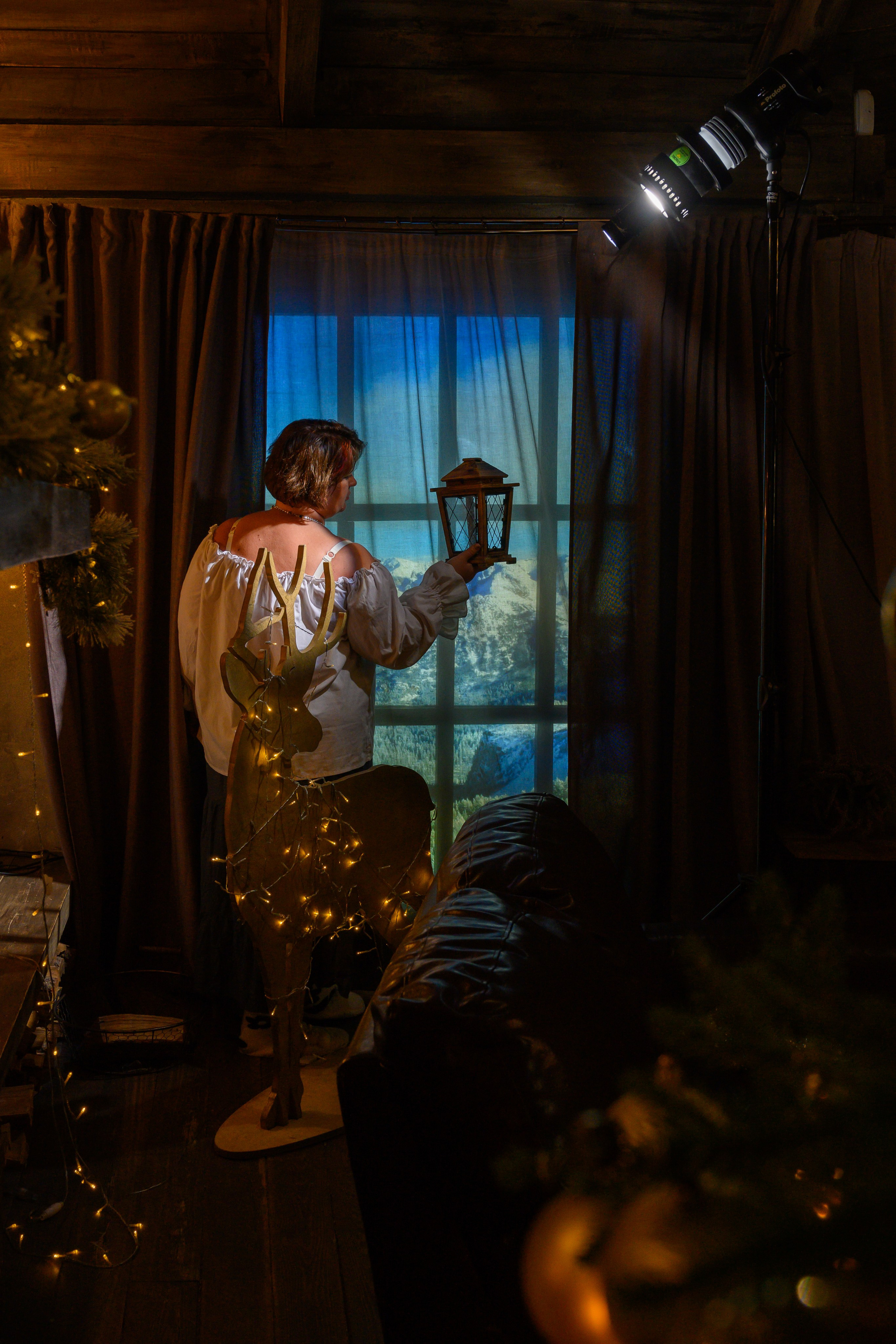 Светлана: Новогодний фотосет. Фотограф Андрей Зикеев, фотостудия AzArt Studio в Москве