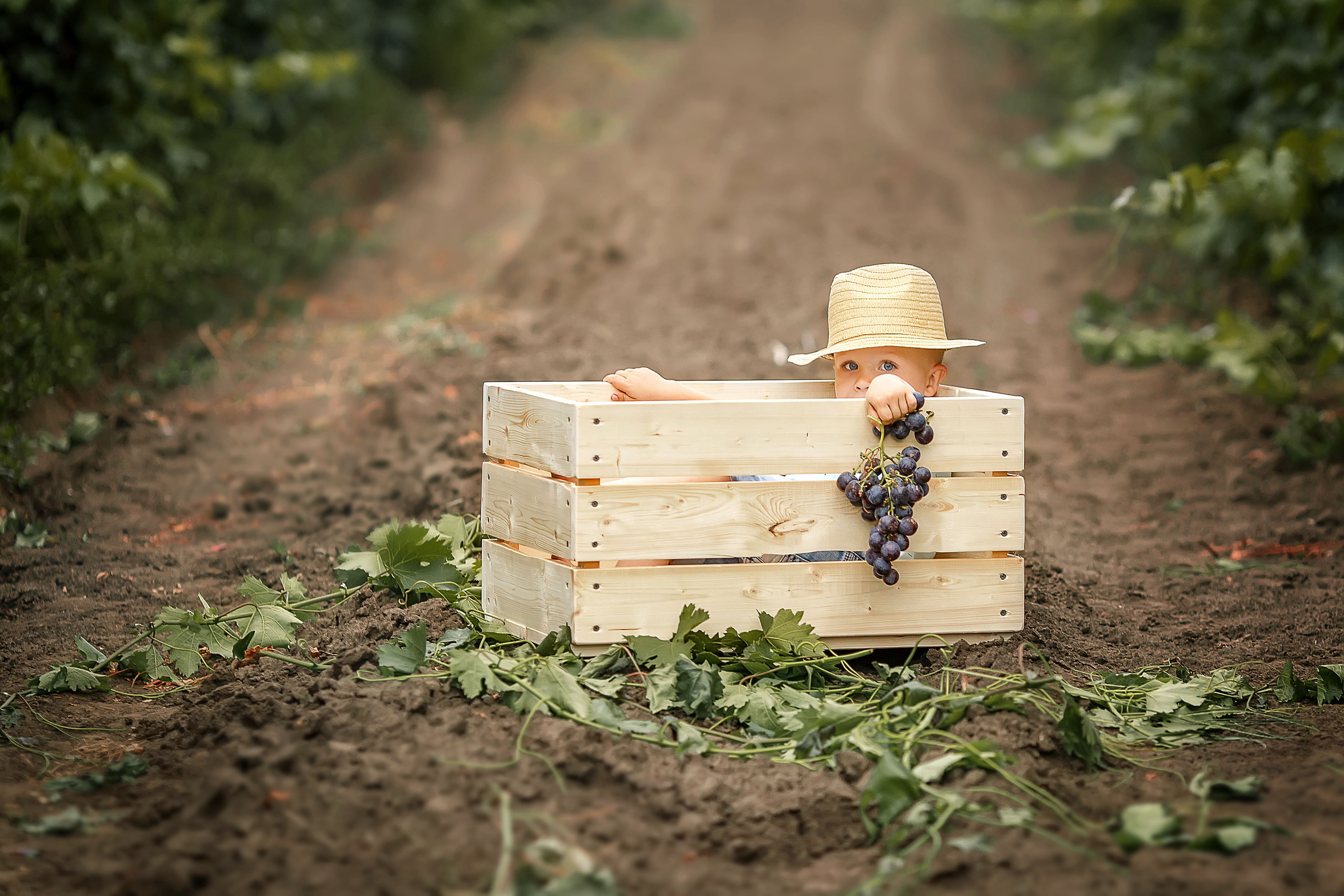 Семейный и детский фотограф в Москве Таня Лисицкая