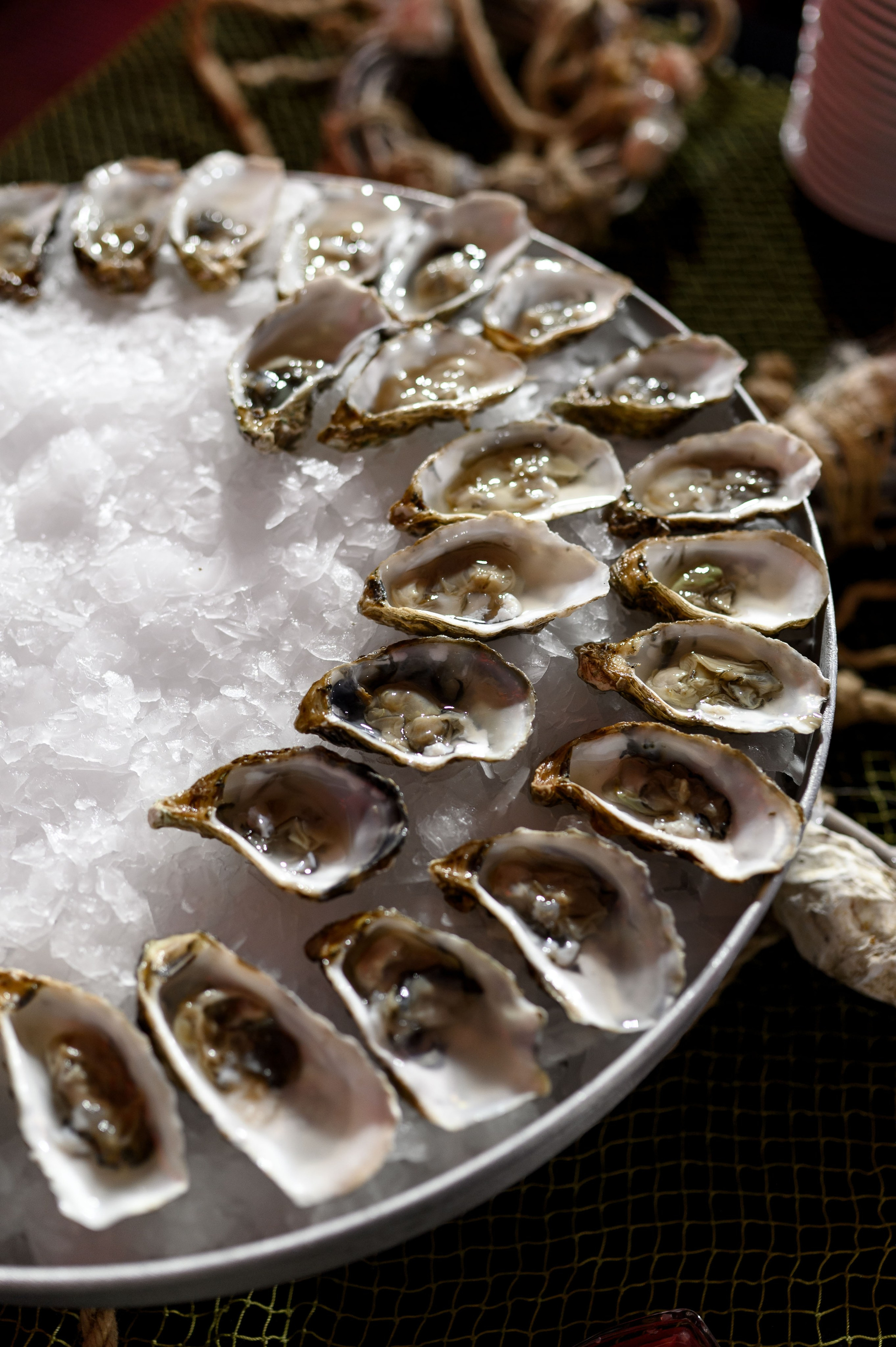 ЖЕСТОКИЕ ИГРЫ Евгении Яблоковой. Свадебный фотограф Минск