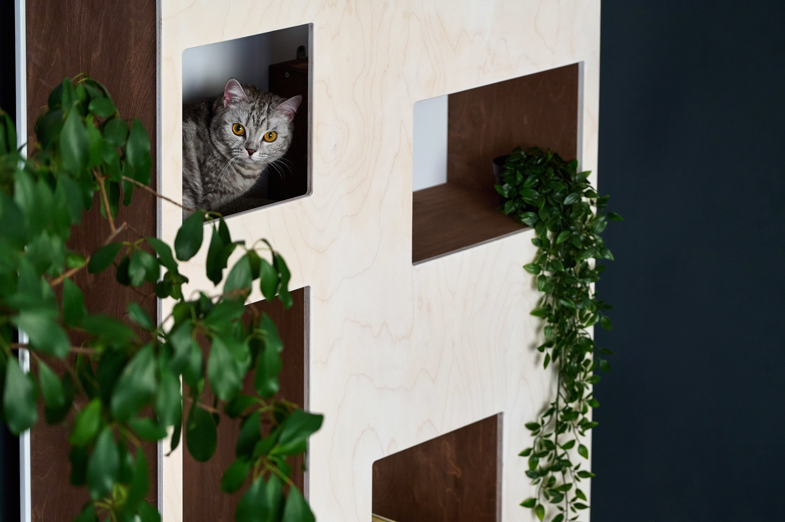 Общее портфолио. Фотограф Опыт Качество Скорость Горный Алтай Барнаул