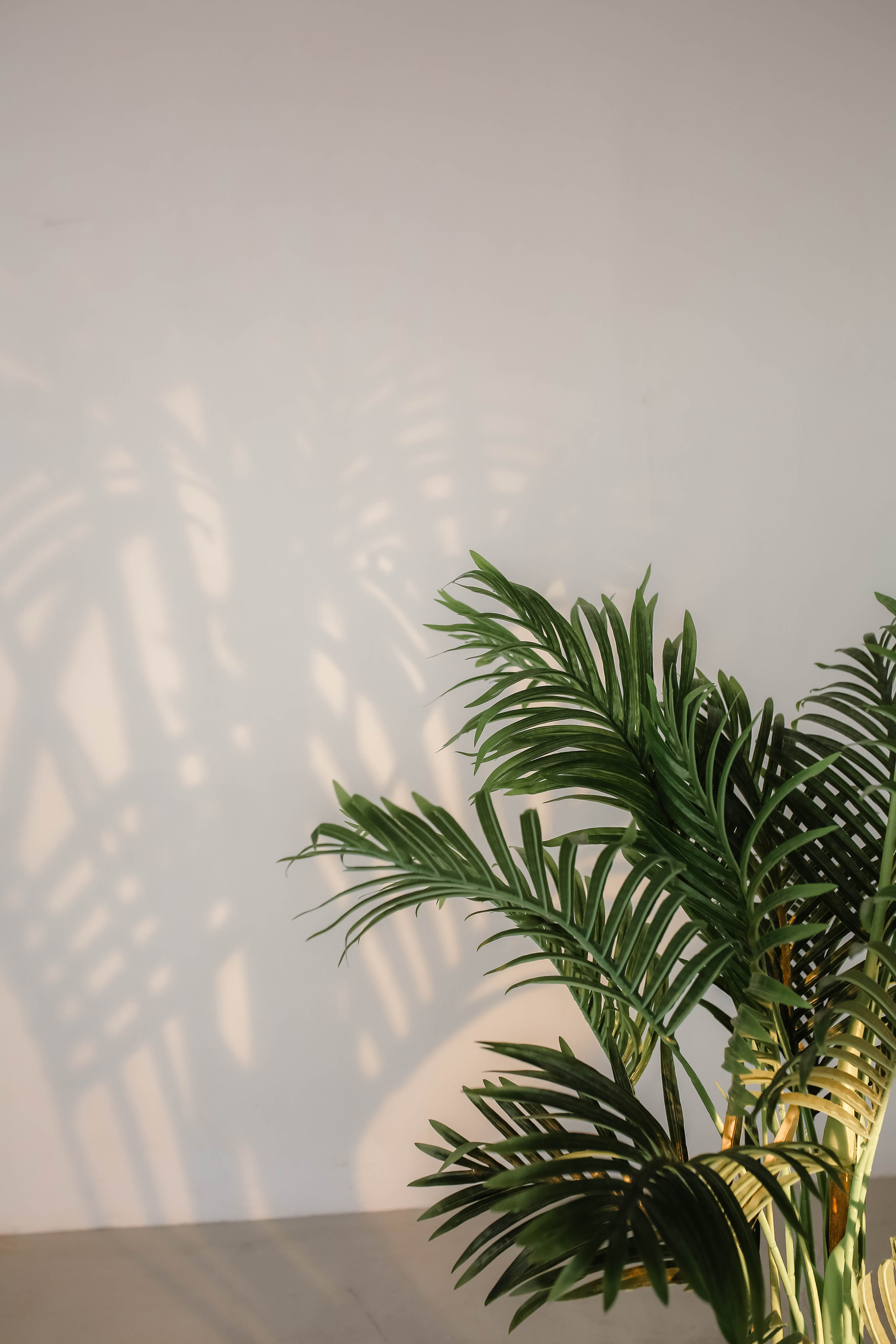 Контент для психолога Дарьи. Бренд, контент фотограф в Волгограде Елена Даньшина