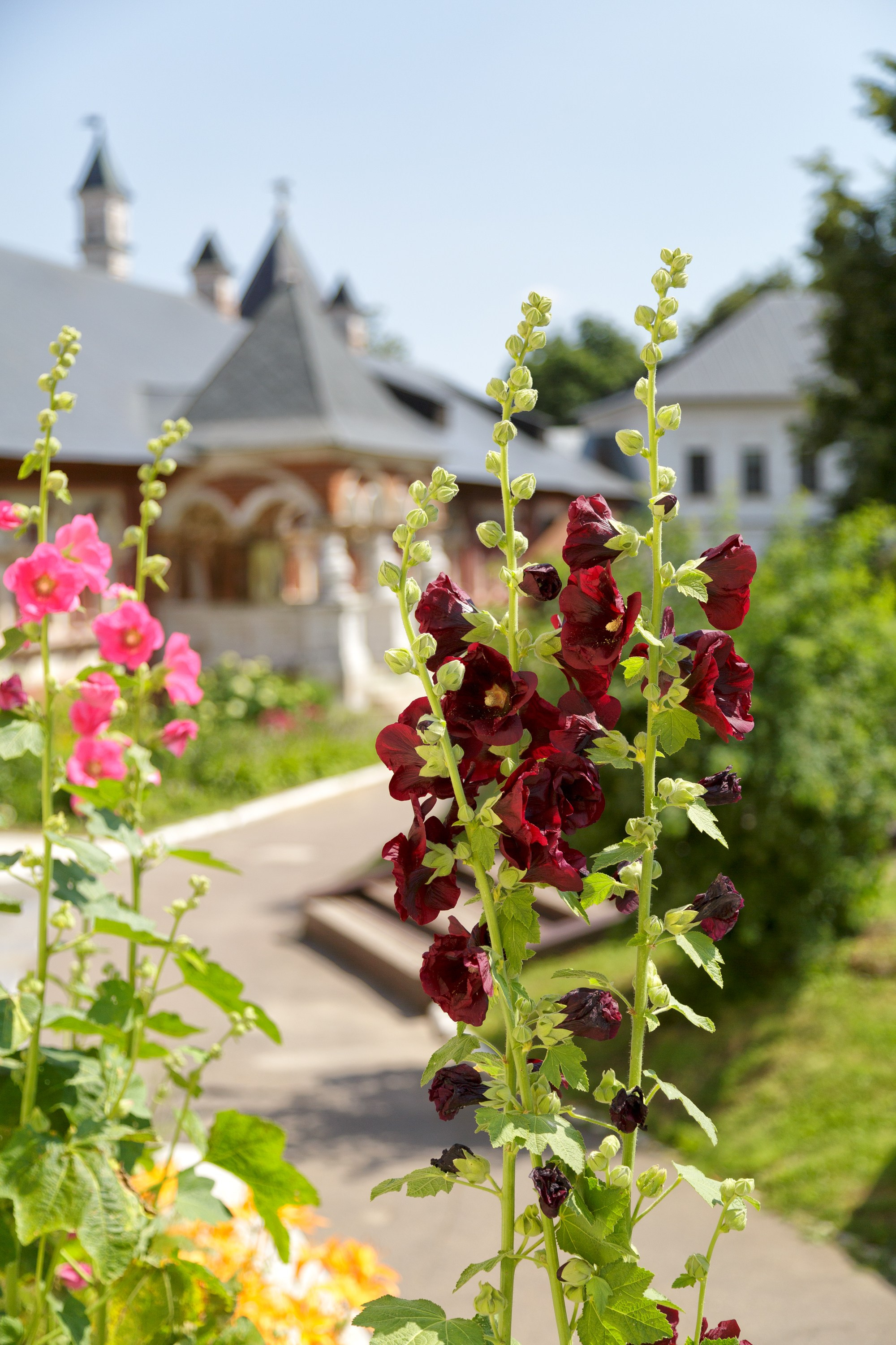 Звенигород. Fotolux