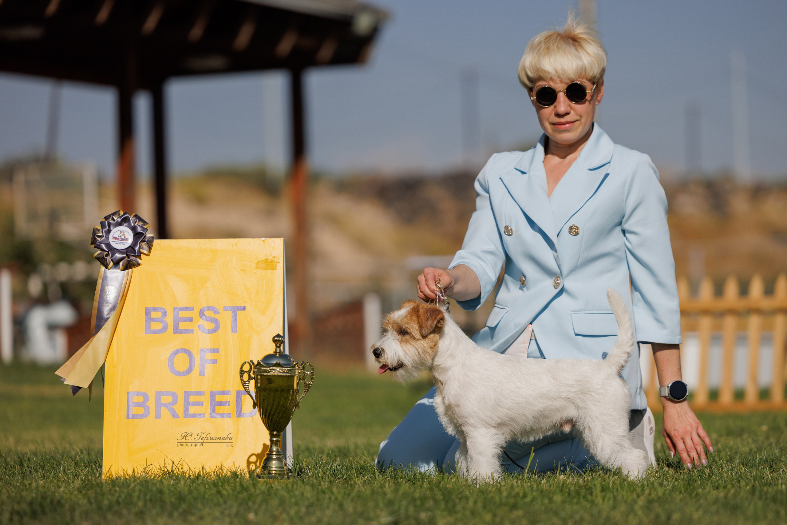 Ереван 3хCACIB 23-25.06.2025. Фотограф-анималист Юлия Германика