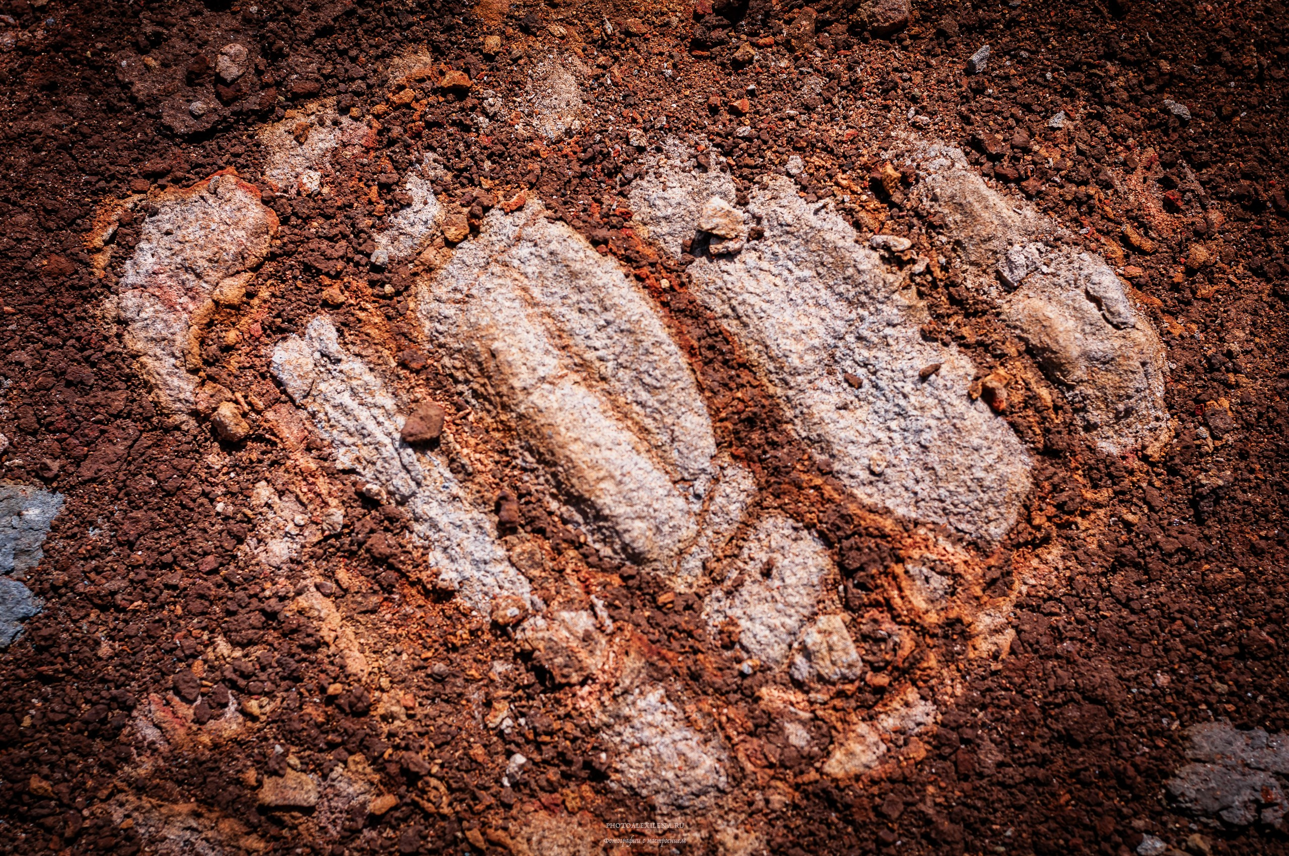 Осязаемая красота. Авторские стильные фотокартины