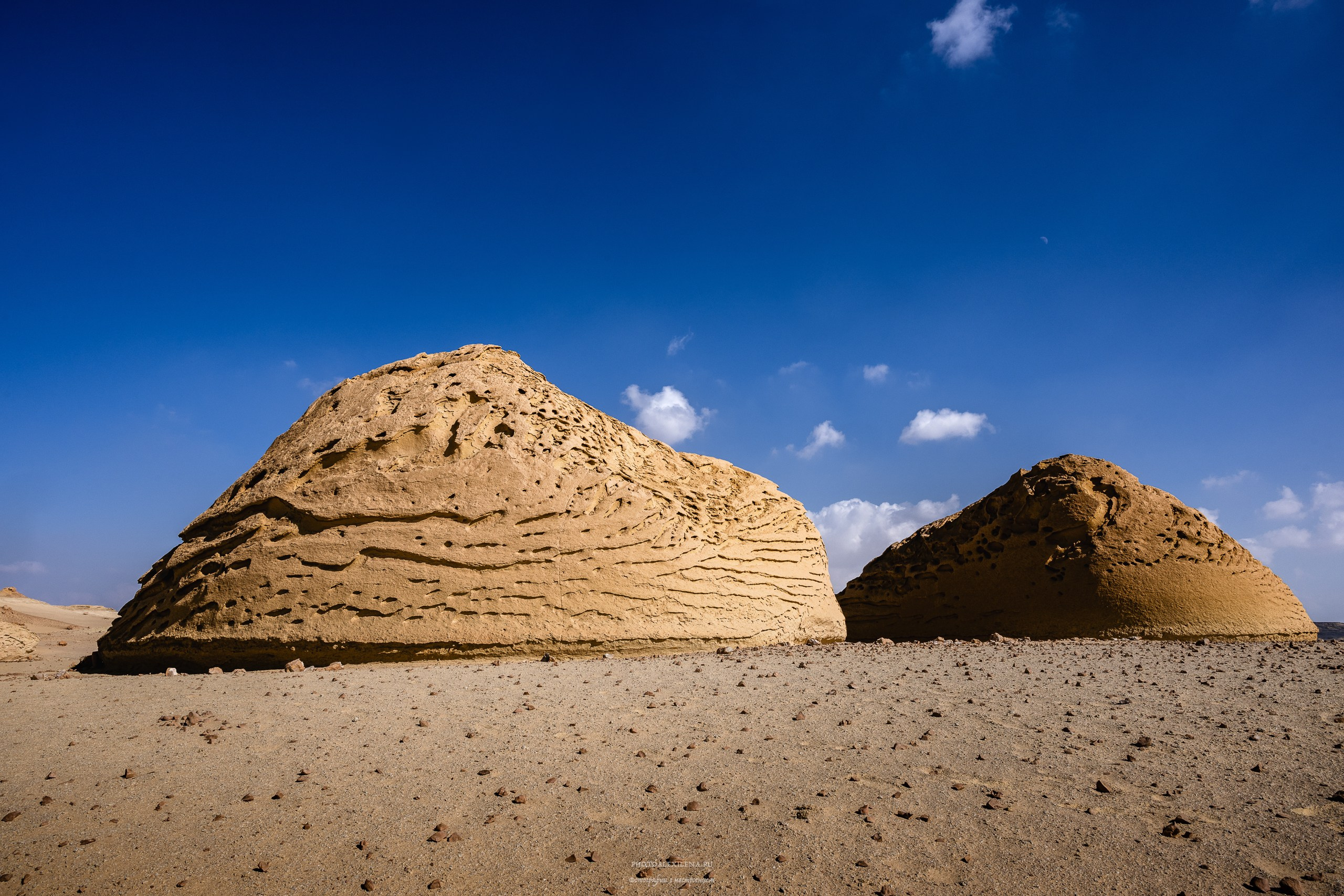 Снова в пустыню, за скелетами…. Авторские стильные фотокартины