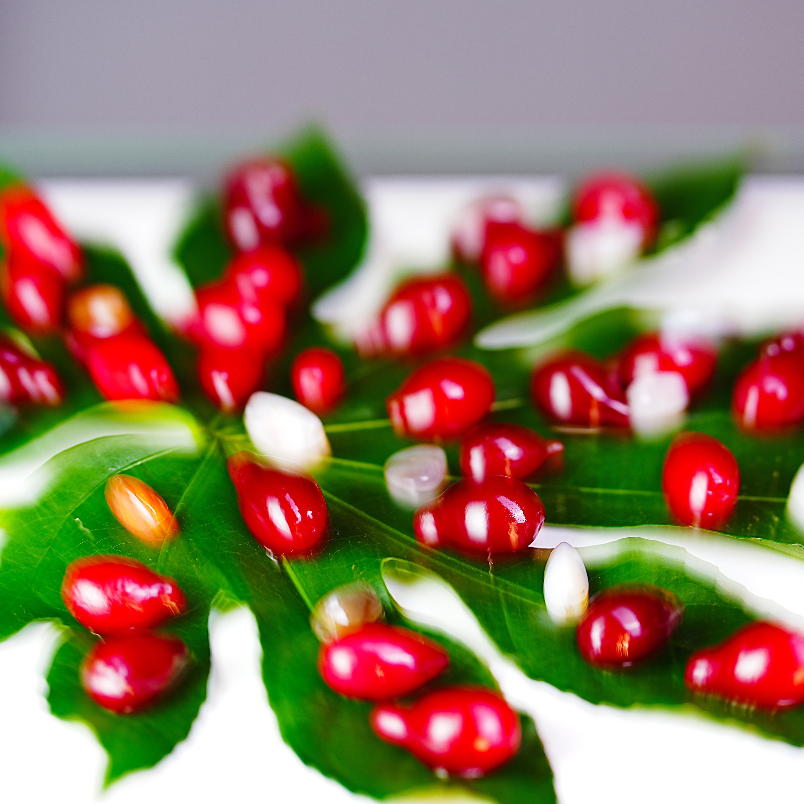 Предметная фотосъёмка. Фотограф, видеооператор Нина Коршунова