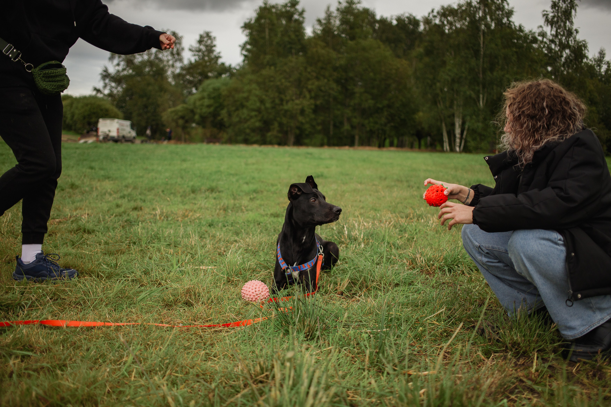 Отис ищет дом. Портретный фотограф в Санкт-Петербурге Катя Протасевич