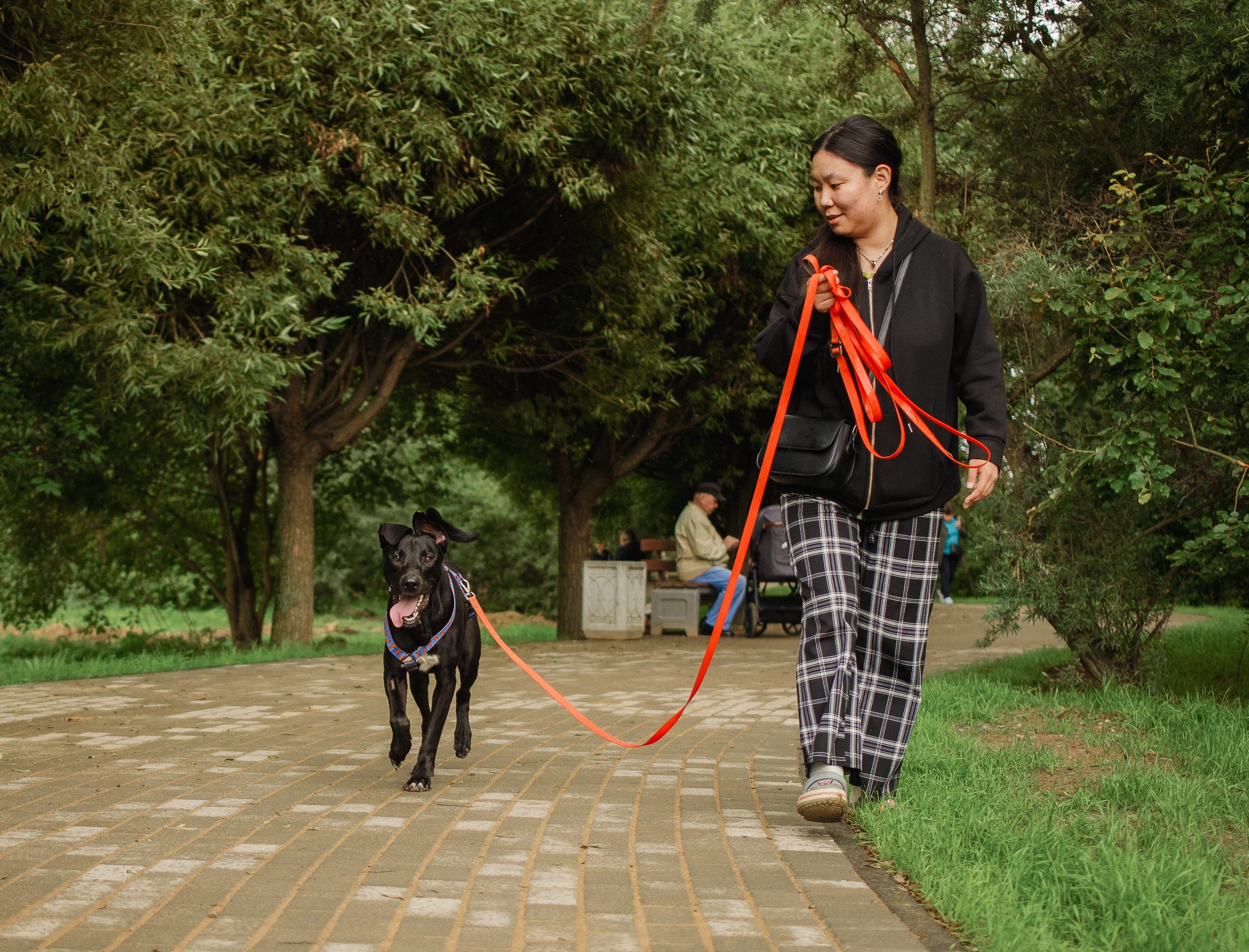 Отис ищет дом. Портретный фотограф в Санкт-Петербурге Катя Протасевич