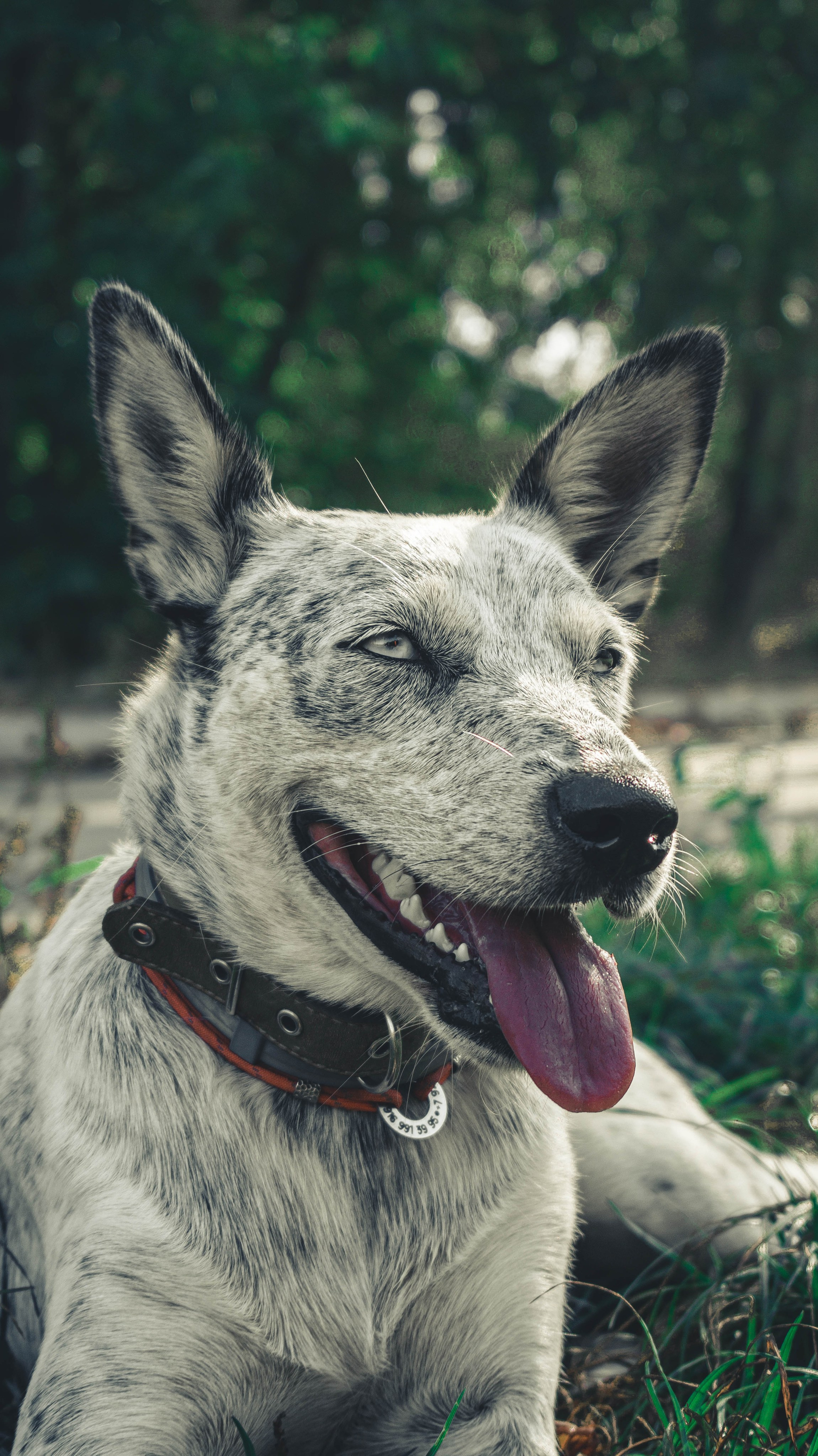 Цунами. Профессиональный фотограф