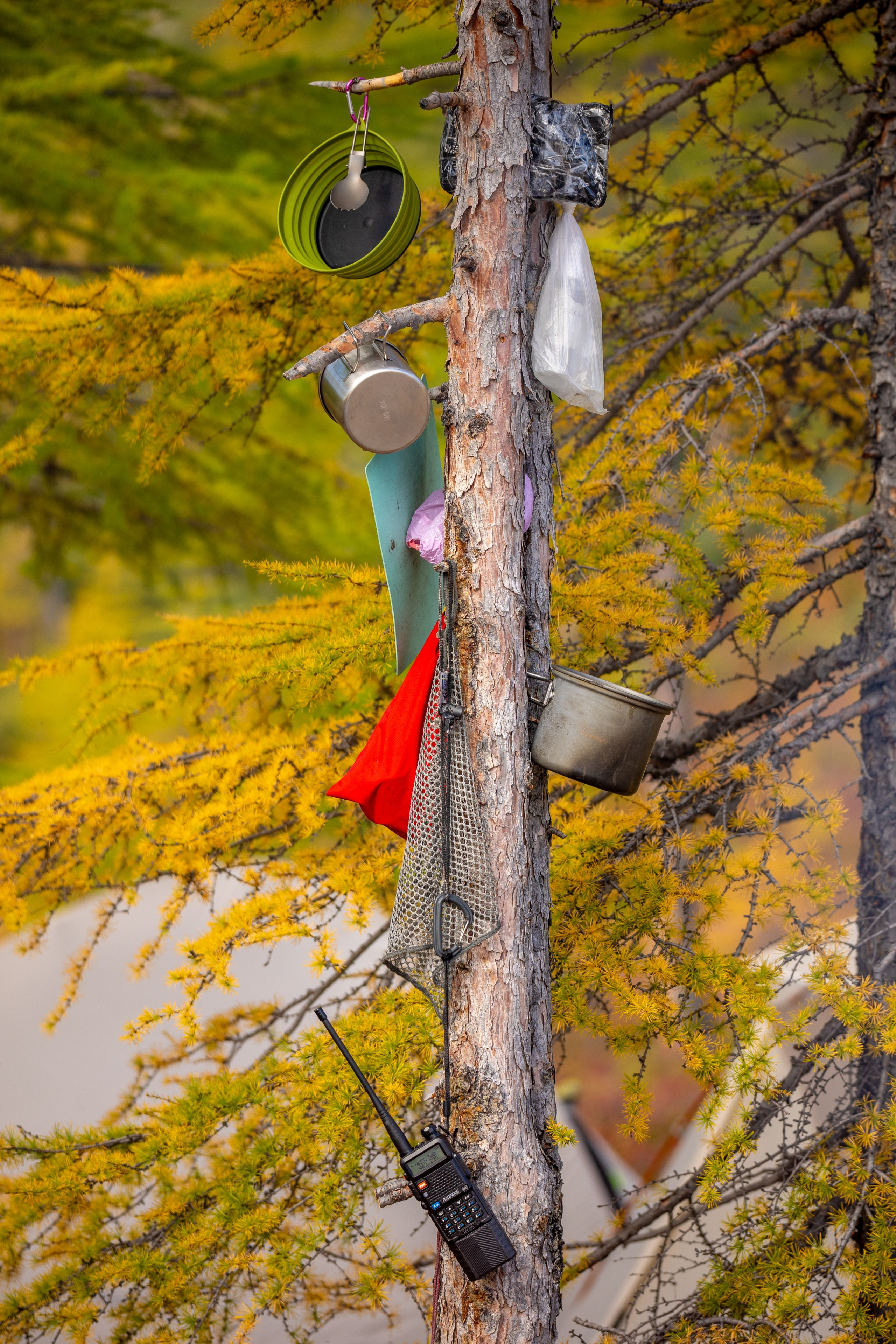 Озеро Джека Лондона. Тревел-фотограф Олег Гуров