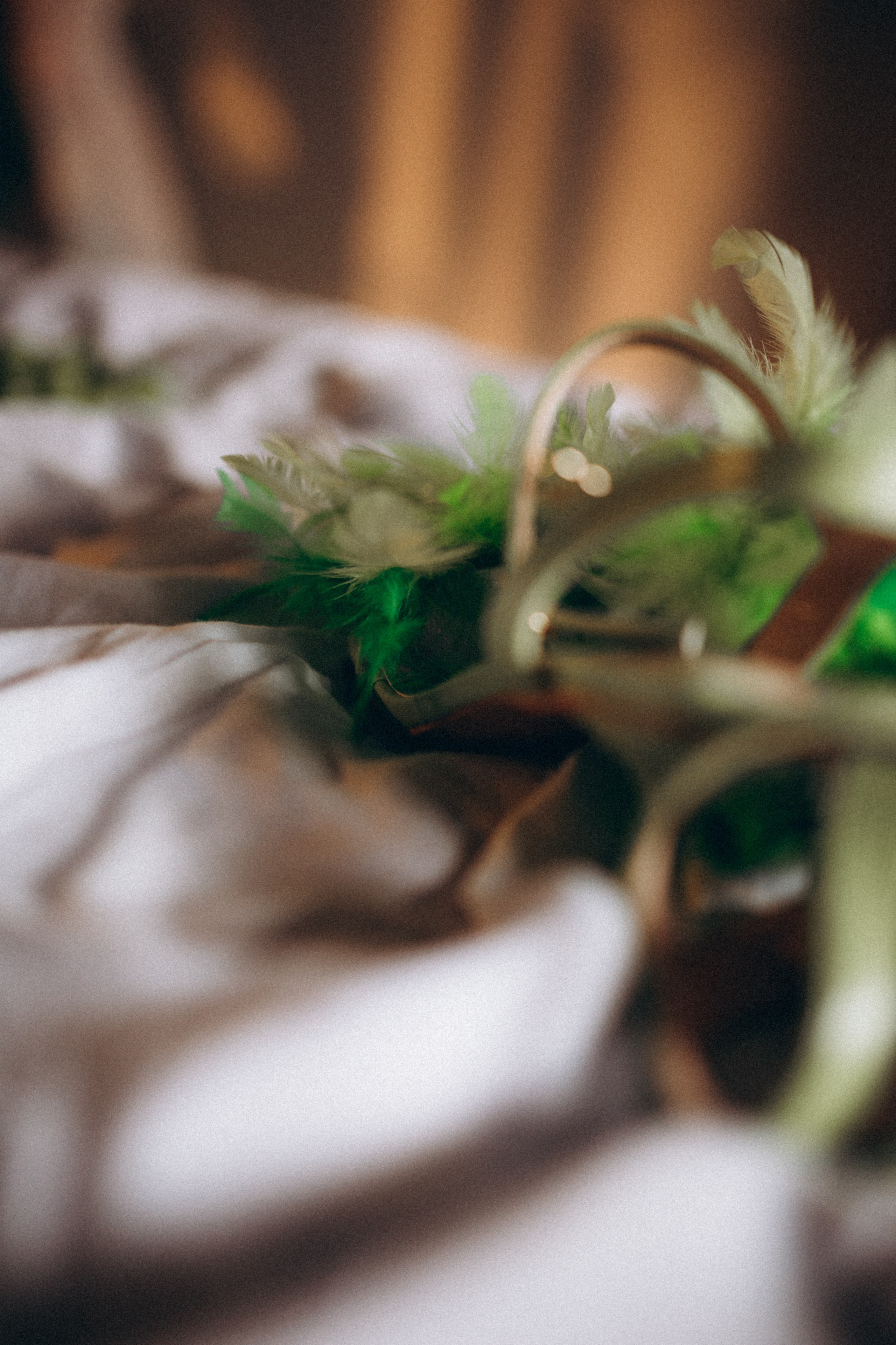 Маша & Саша. Камерная свадьба. Фотограф НОГИНСК, Москва, Анастасия Белая