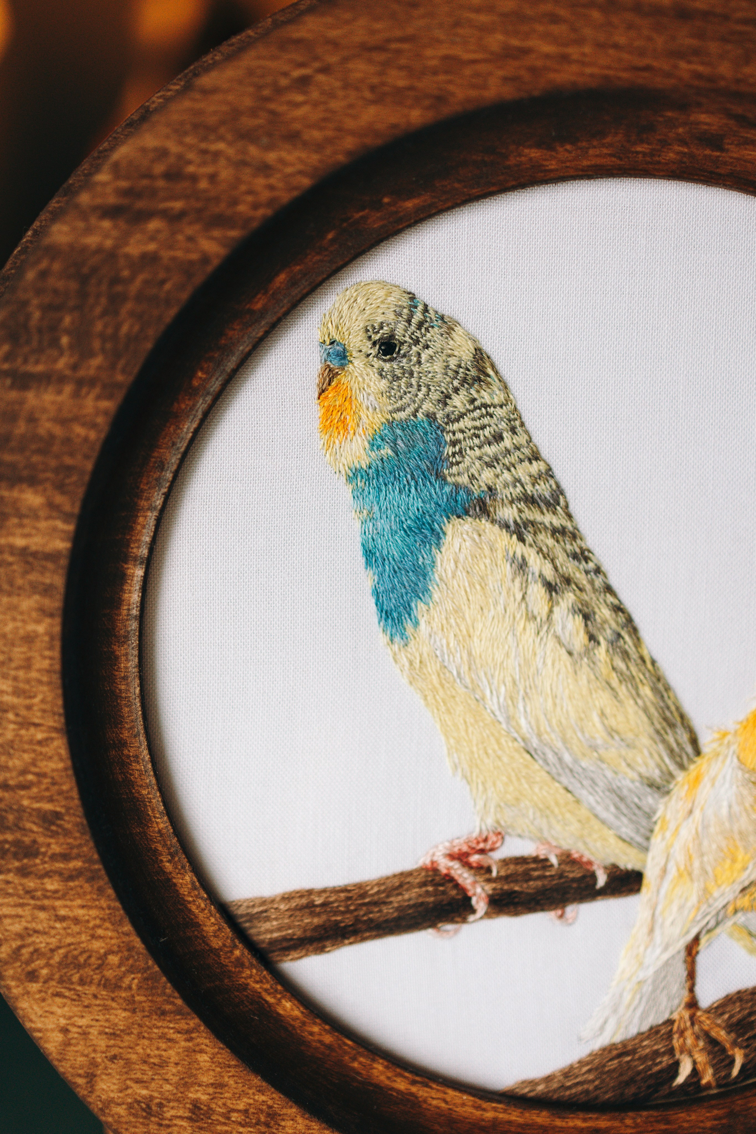 Портфолио. Портретная вышивка питомцев