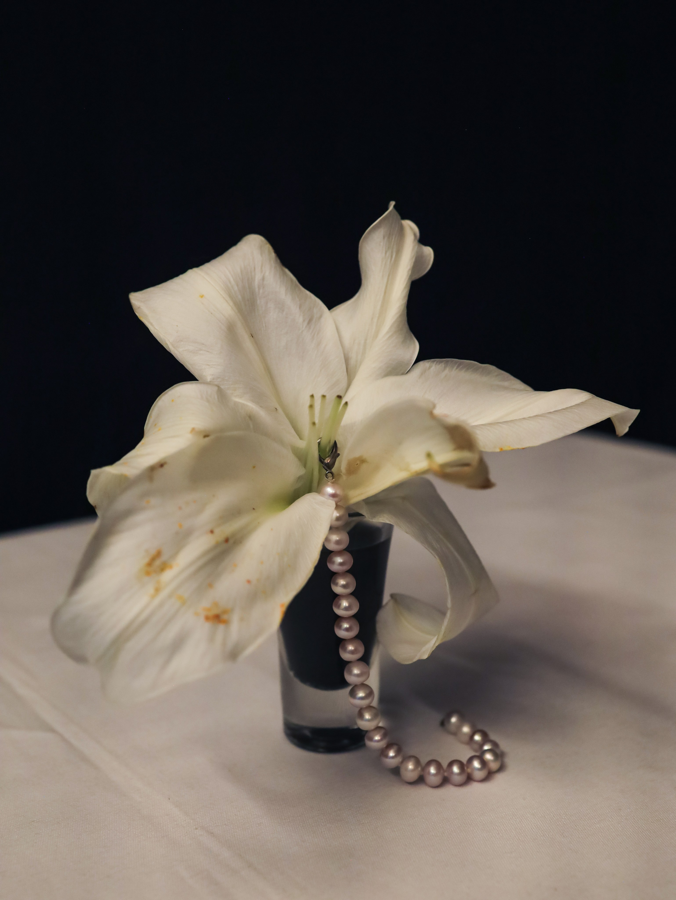 Природа &. Фотохудожник в СПб