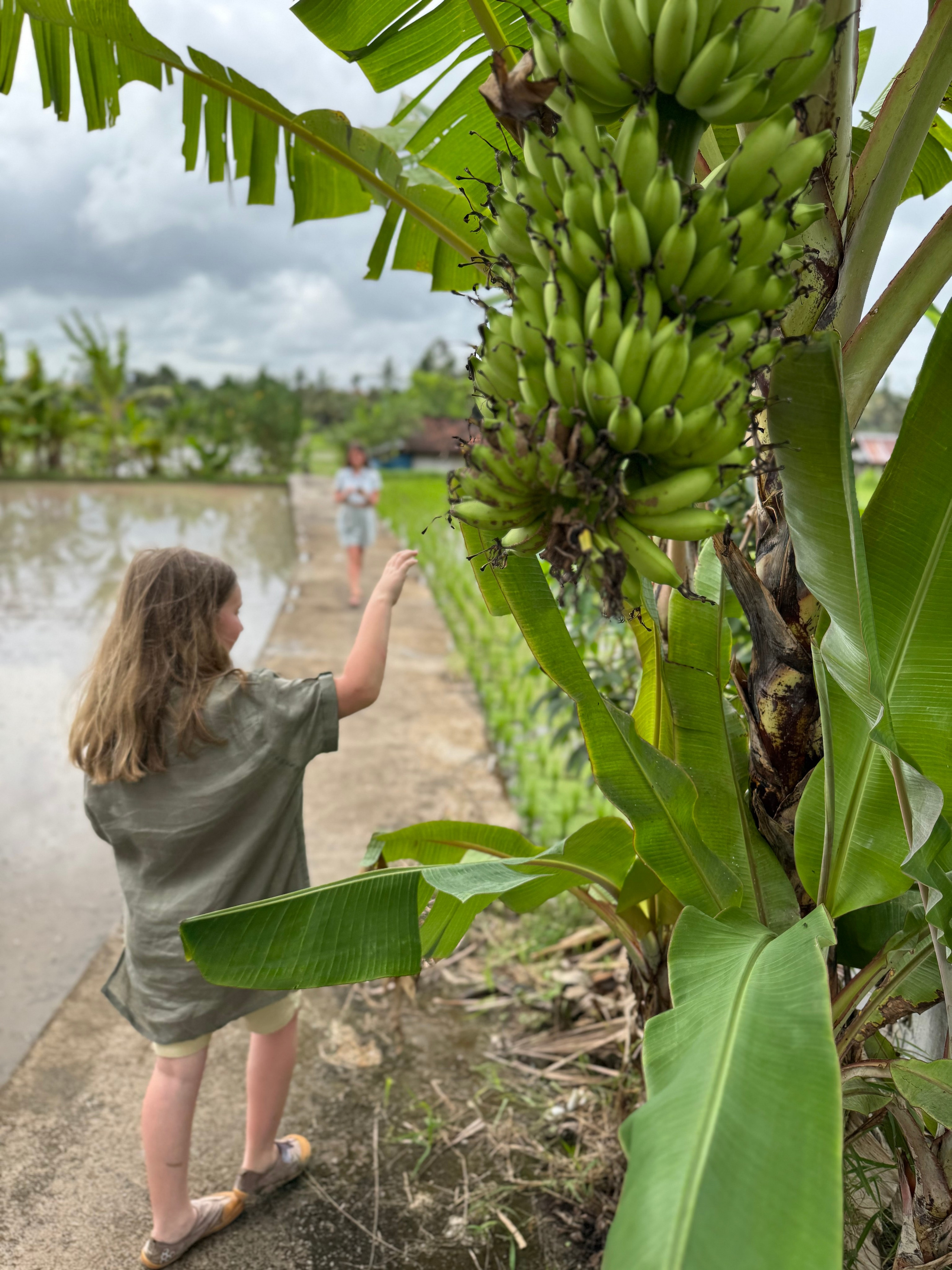 Бали.мы 2025. А вот и да!