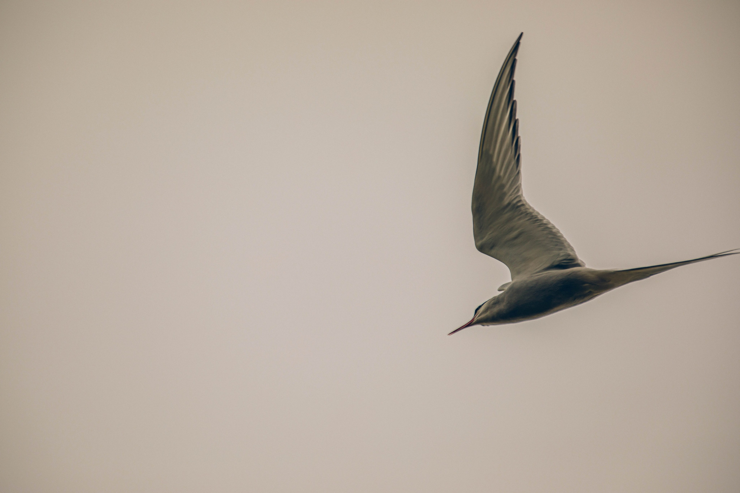 Кольский полуостров. Фотографирую для себя, своей семьи и друзей!