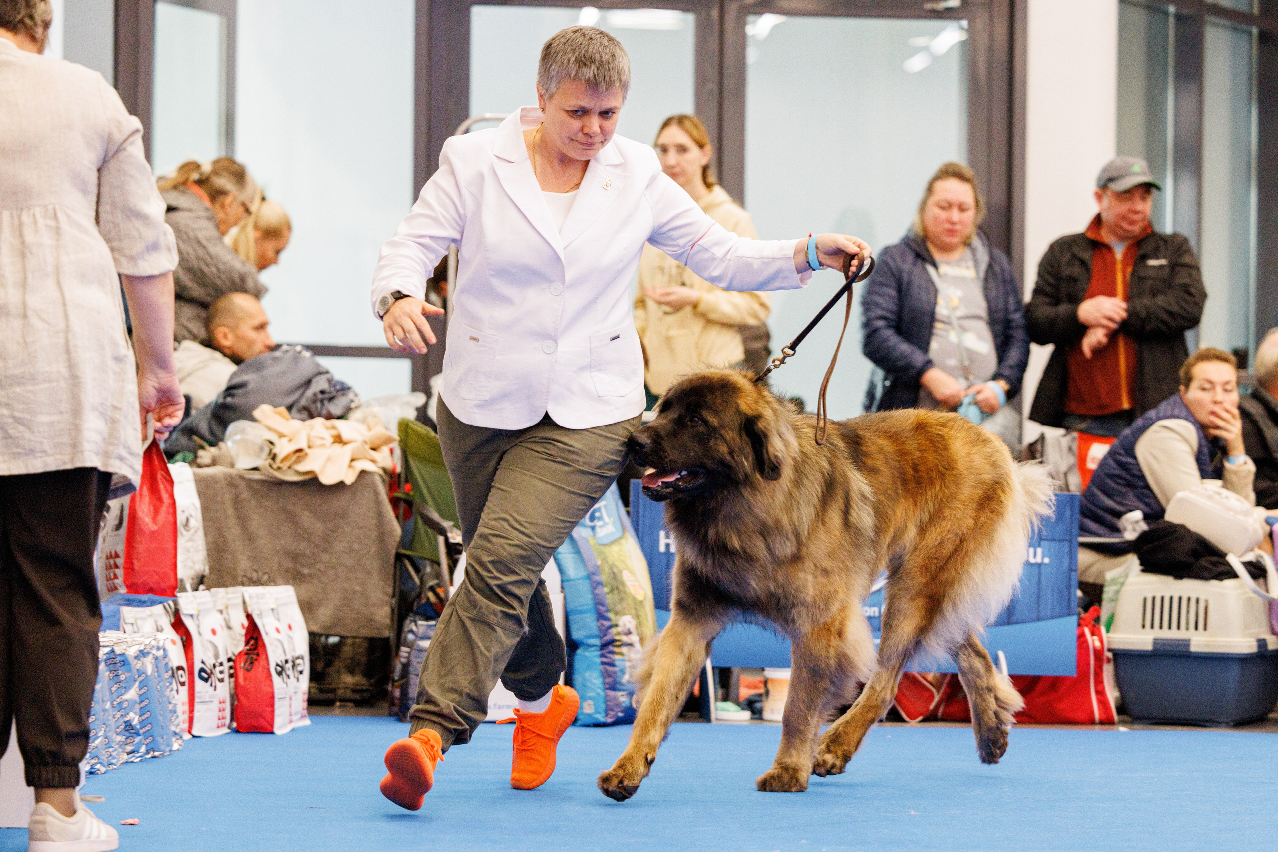 Нижний Новгород 21-22.10.2023. Фотограф-анималист Юлия Германика