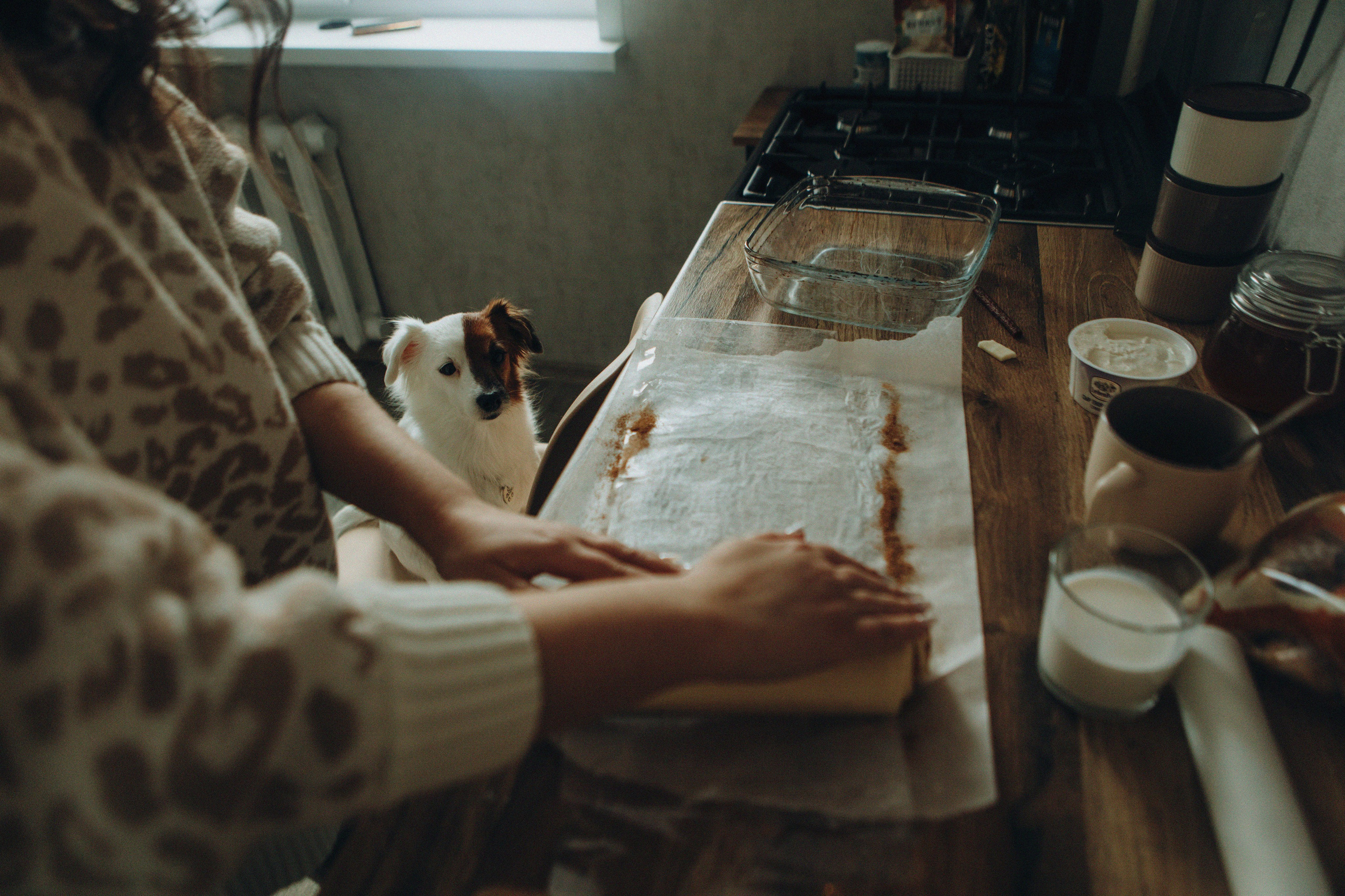 Break fast with a dog. Свадебный и семейный фотограф Арестенко Анастасия