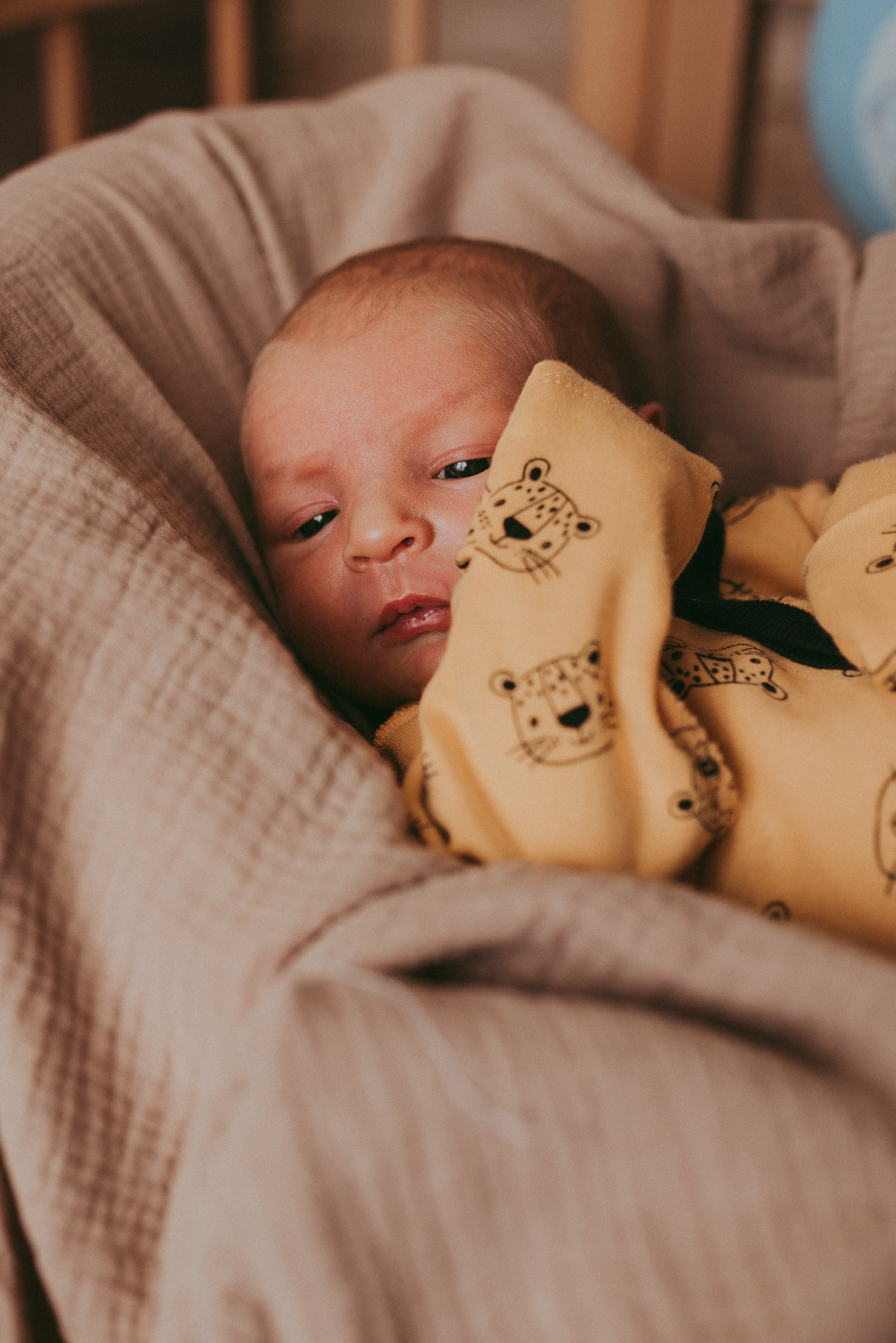 Маленький космос. Семейный и детский фотограф в Новосибирске и Краснообске — Анна Ким